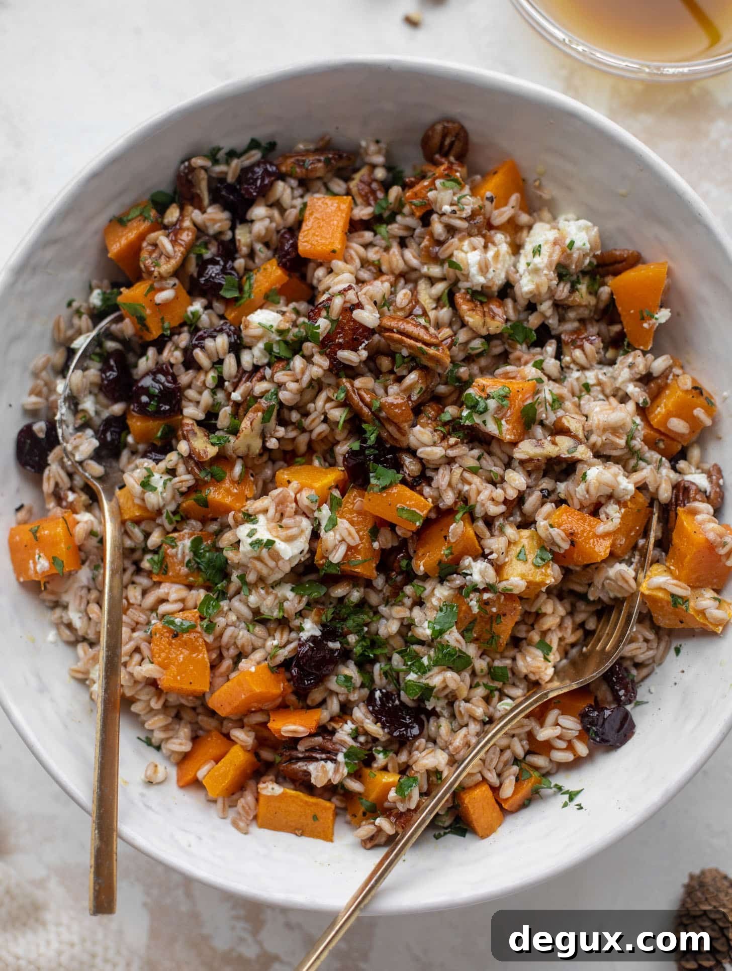 Winter Farro Salad with Cranberry Cinnamon Vinaigrette 11 warm winter farro with butternut squash, goat cheese, cranberries and pecans