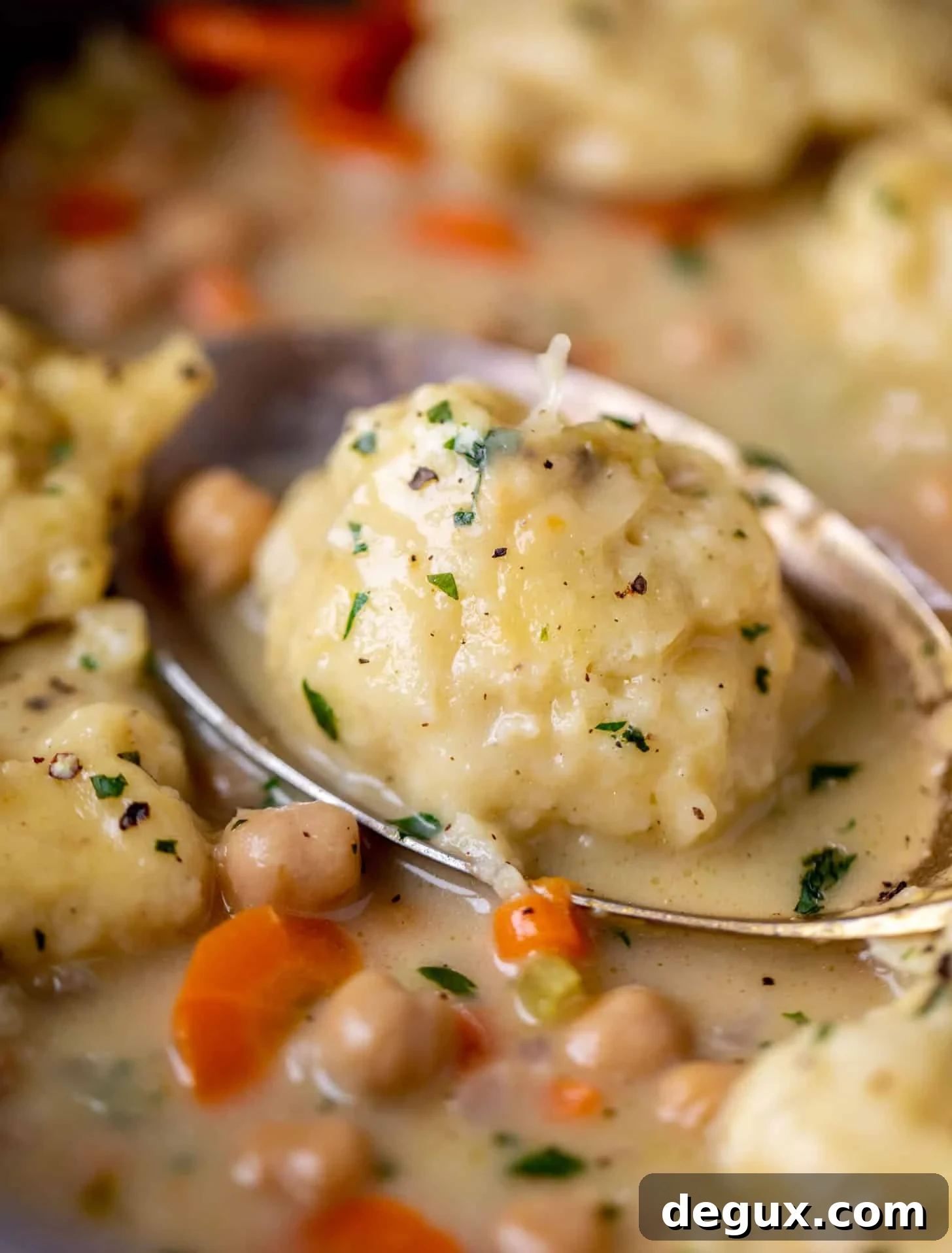 Hearty Chickpea and Dumpling Stew Recipe for Cozy Meals 6 close up of chickpeas and dumplings