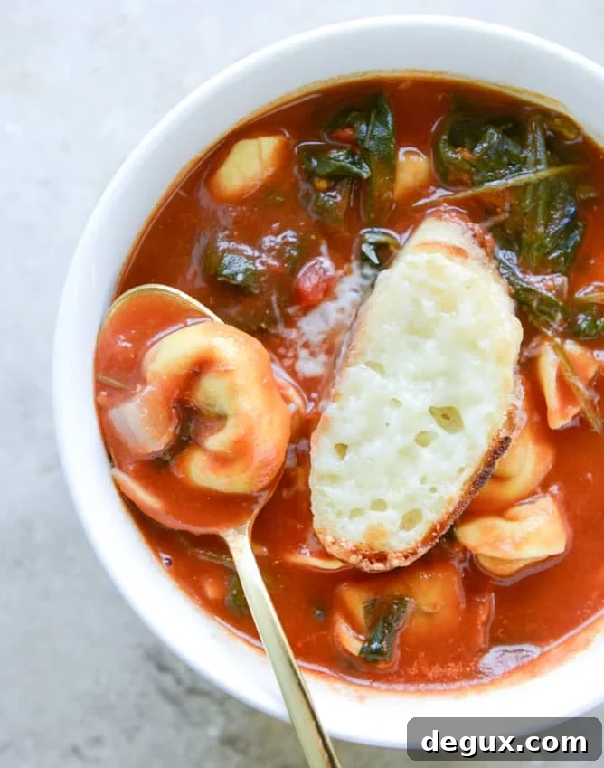 20 Cozy Winter Soup Recipes You’ll Make Again and Again 22 img 70624 21