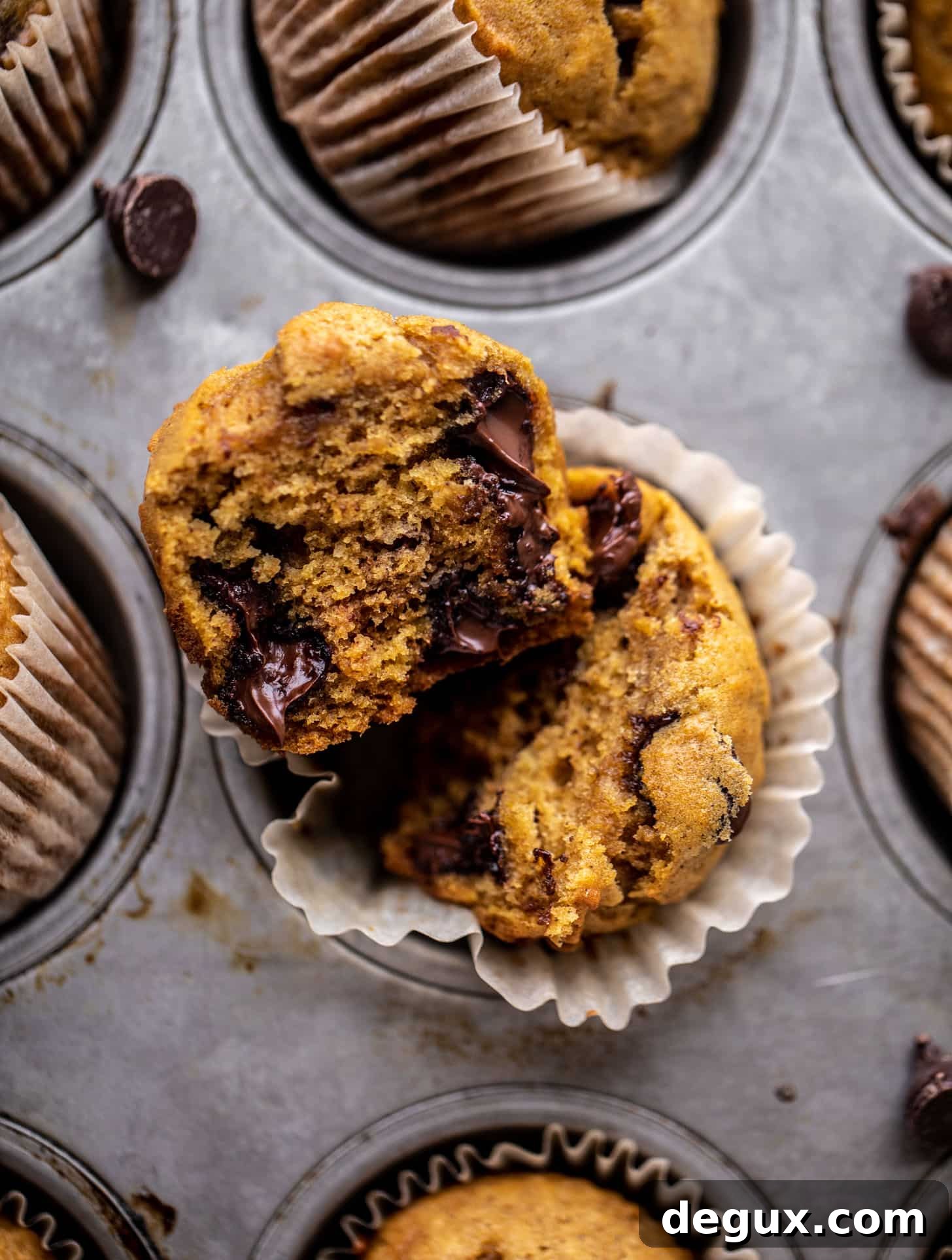 Moist Pumpkin Chocolate Chip Muffins Recipe for Fall Baking 11 pumpkin chocolate chip muffins