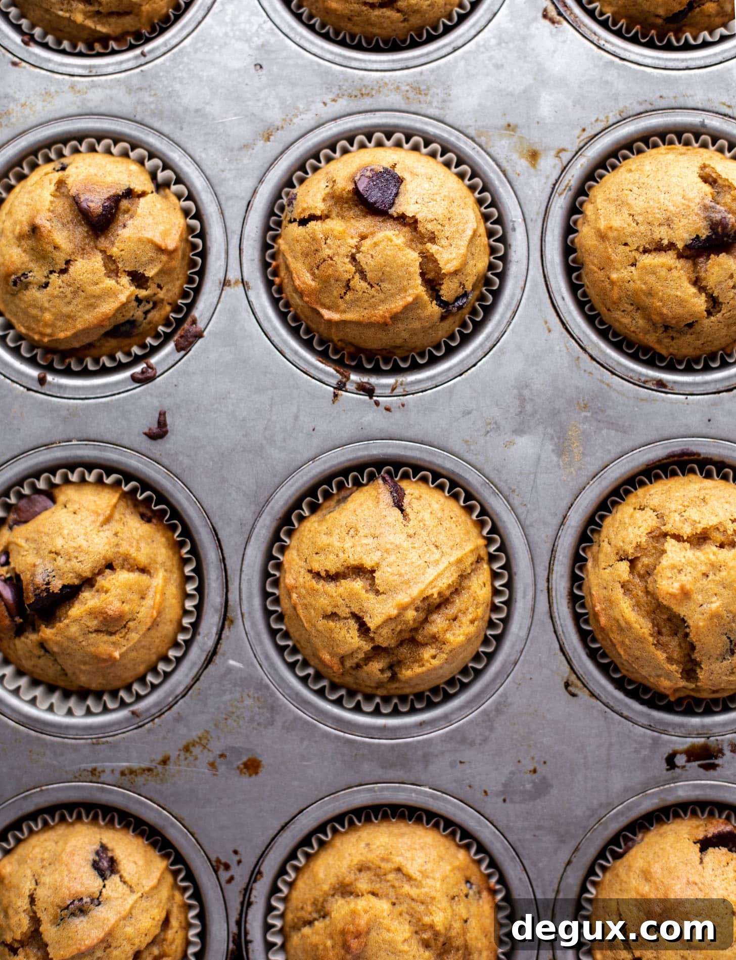 Moist Pumpkin Chocolate Chip Muffins Recipe for Fall Baking 4 baked pumpkin muffins