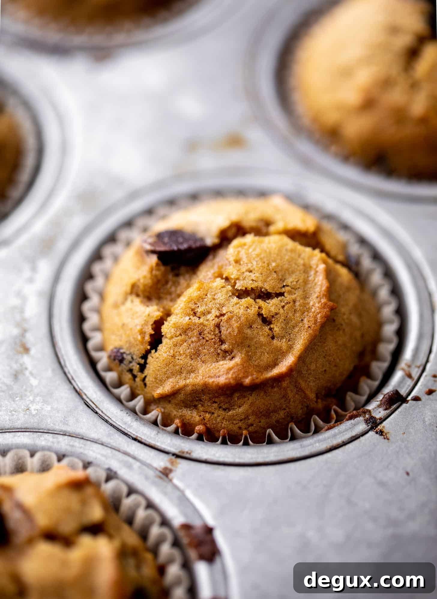 Moist Pumpkin Chocolate Chip Muffins Recipe for Fall Baking 5 pumpkin chocolate chip muffins