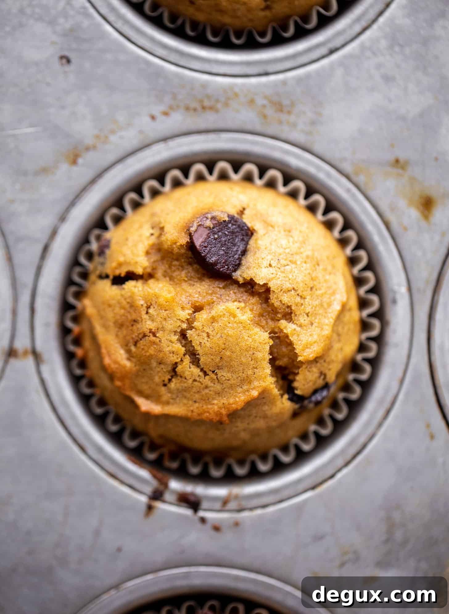Moist Pumpkin Chocolate Chip Muffins Recipe for Fall Baking 6 pumpkin chocolate chip muffins