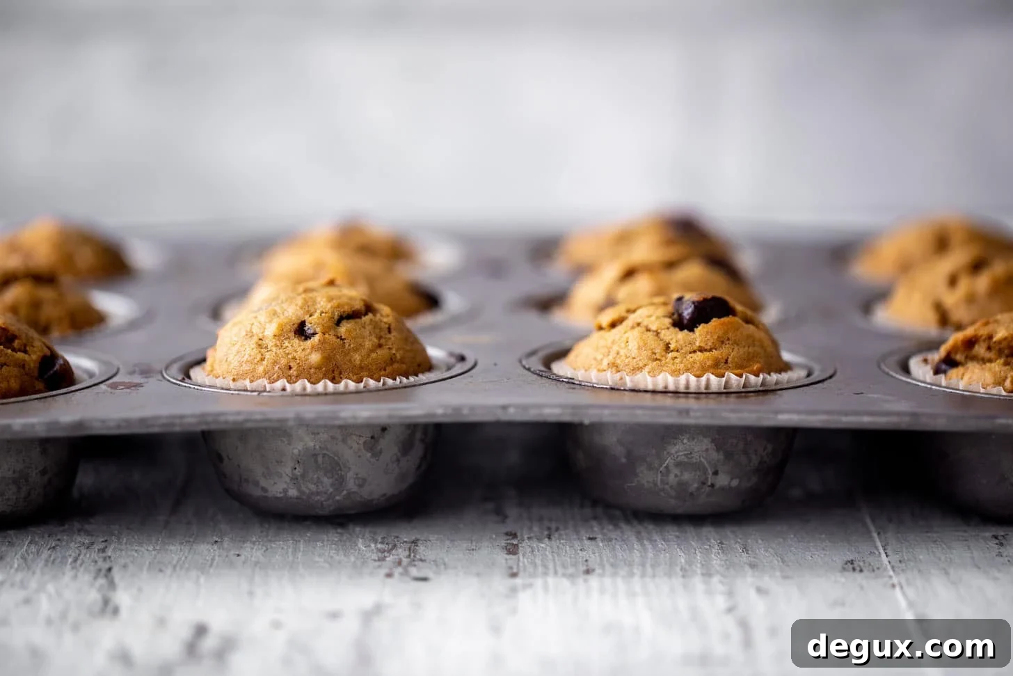 Moist Pumpkin Chocolate Chip Muffins Recipe for Fall Baking 7 baked pumpkin chocolate chip muffins