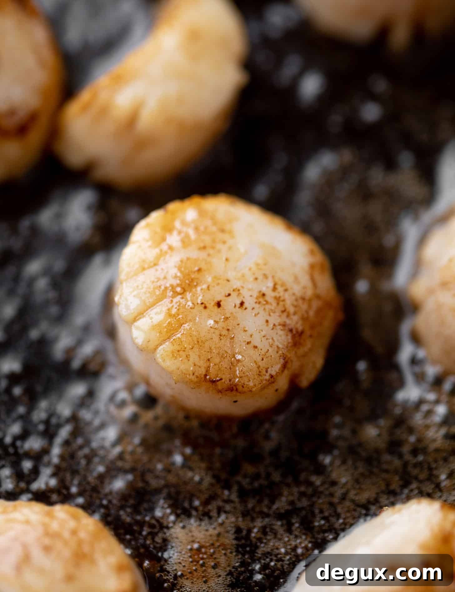 seared scallops in brown butter