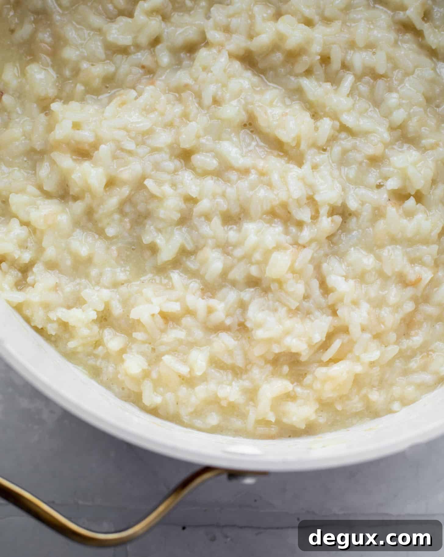 champagne risotto