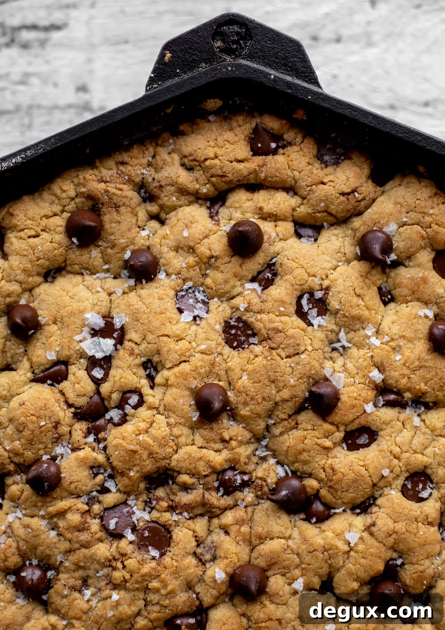 salted chewy chocolate chip skillet cookie