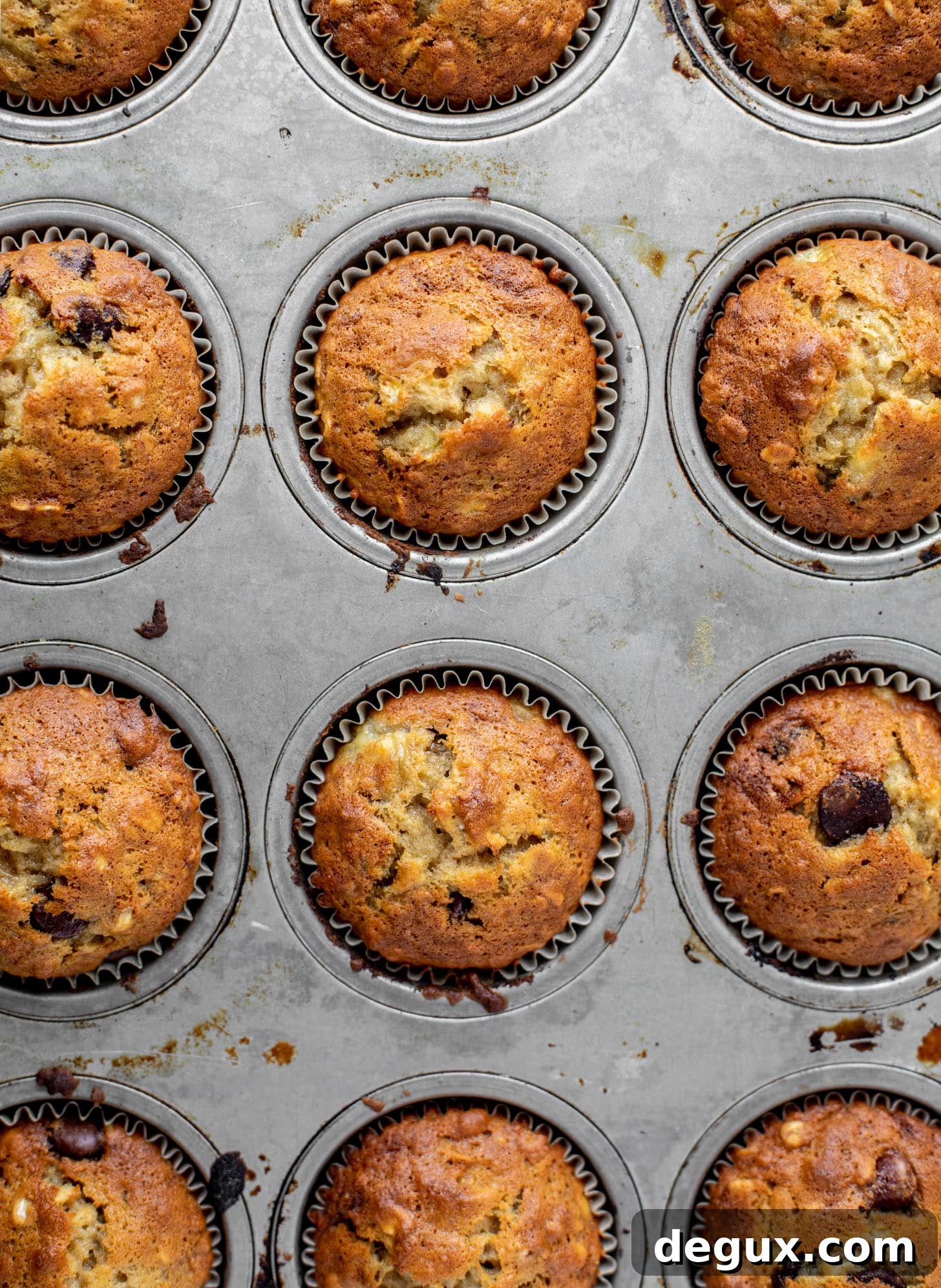 chocolate chip banana oat muffins