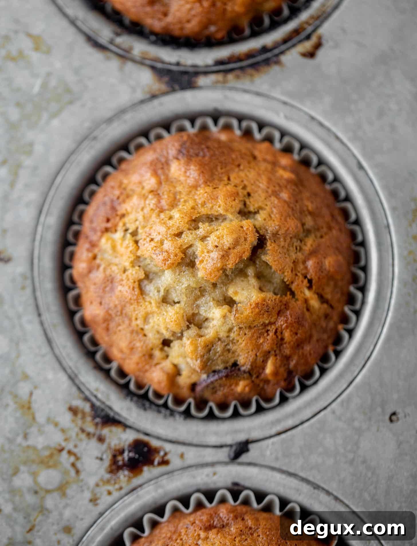 chocolate chip banana oat muffin