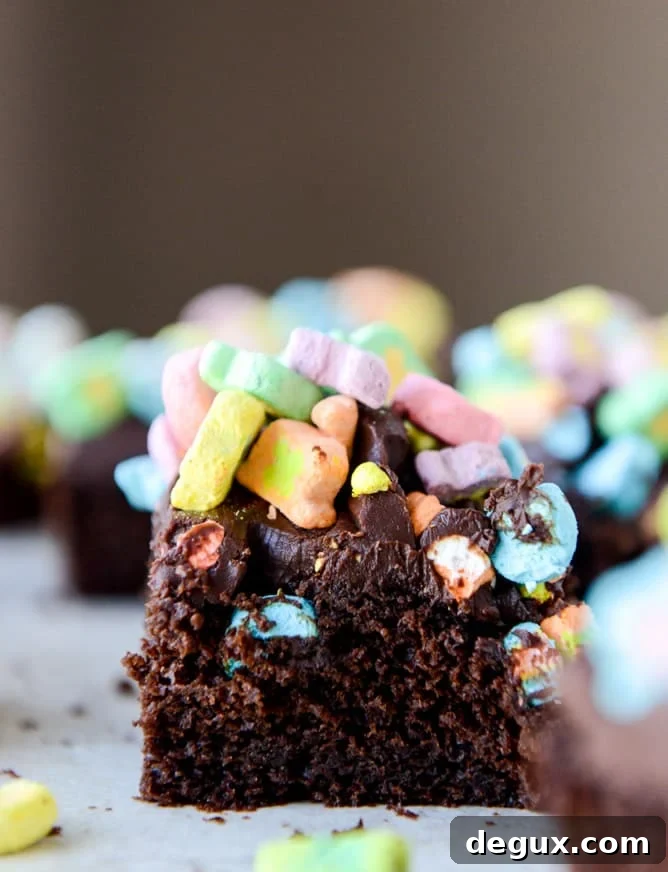 18 Saint Patrick’s Day Recipes for a Festive Celebration 16 img 71570 15