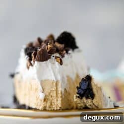 Oreo Peanut Butter Pie Recipe: Rich No-Bake Dessert 10 img 72283 9