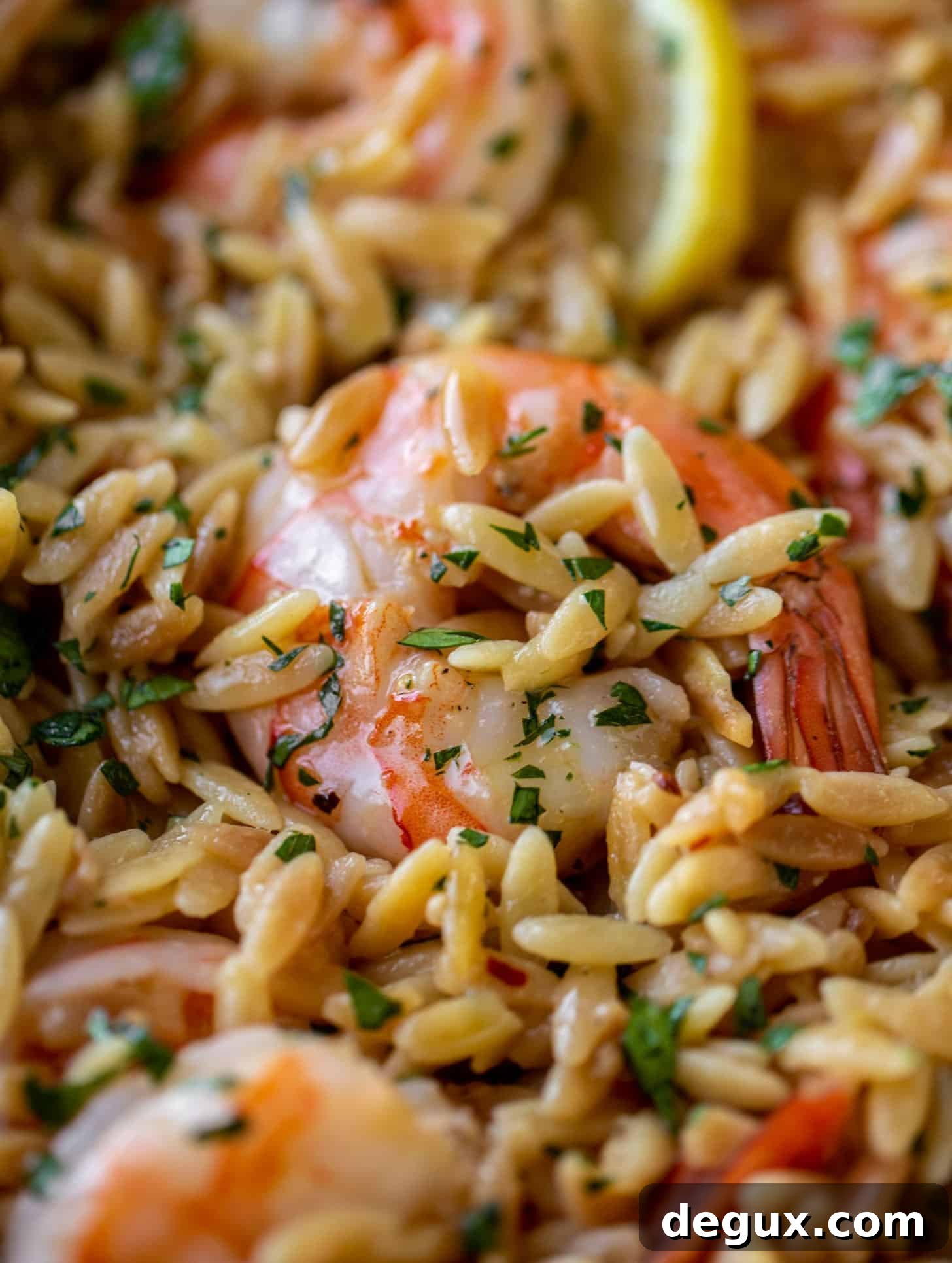 one pot garlic butter shrimp and orzo