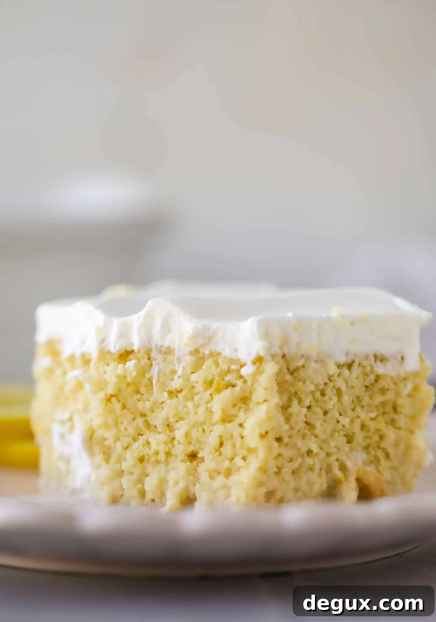 simple lemon tres leches cake with whipped cream