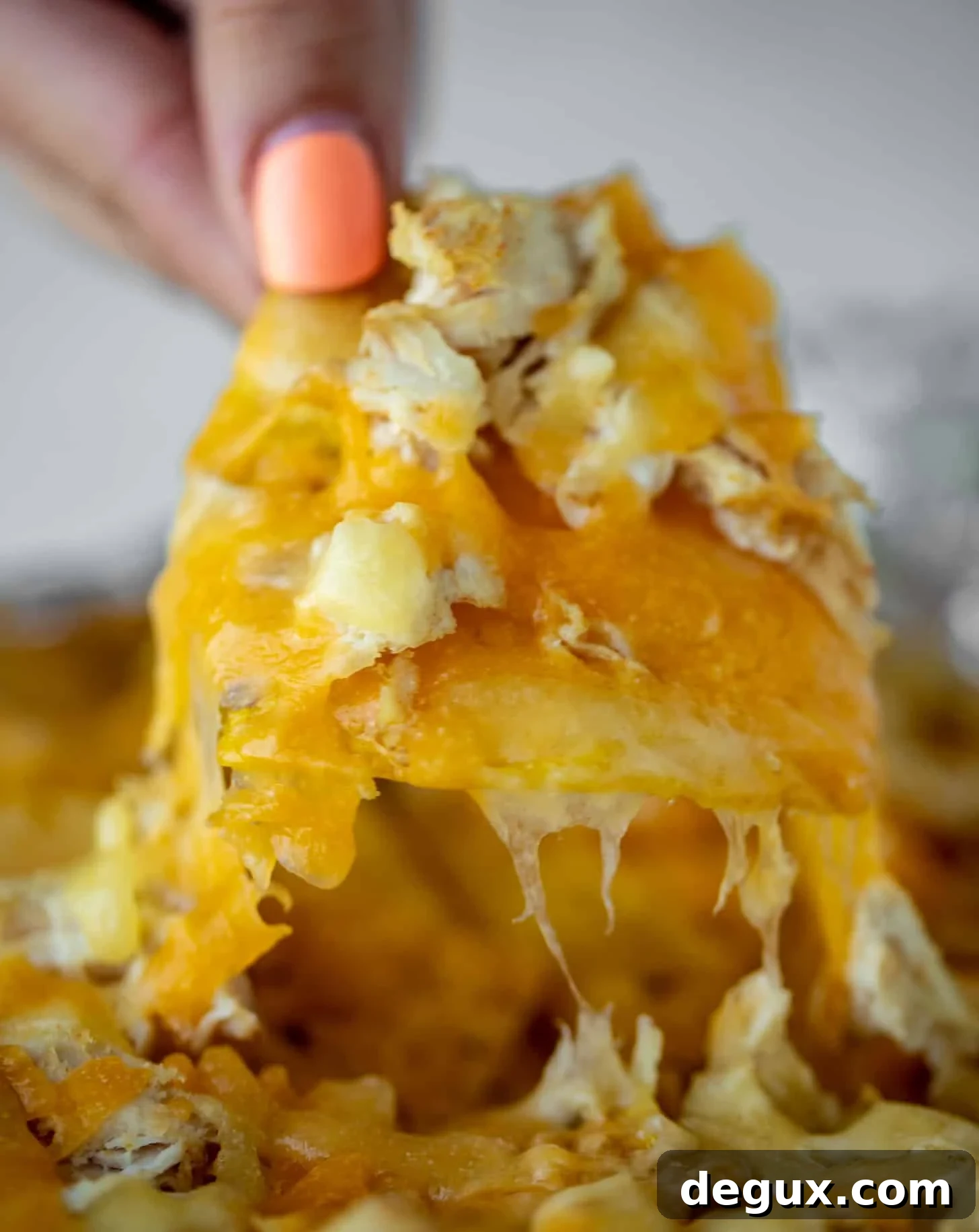 melty cheddar chip nacho