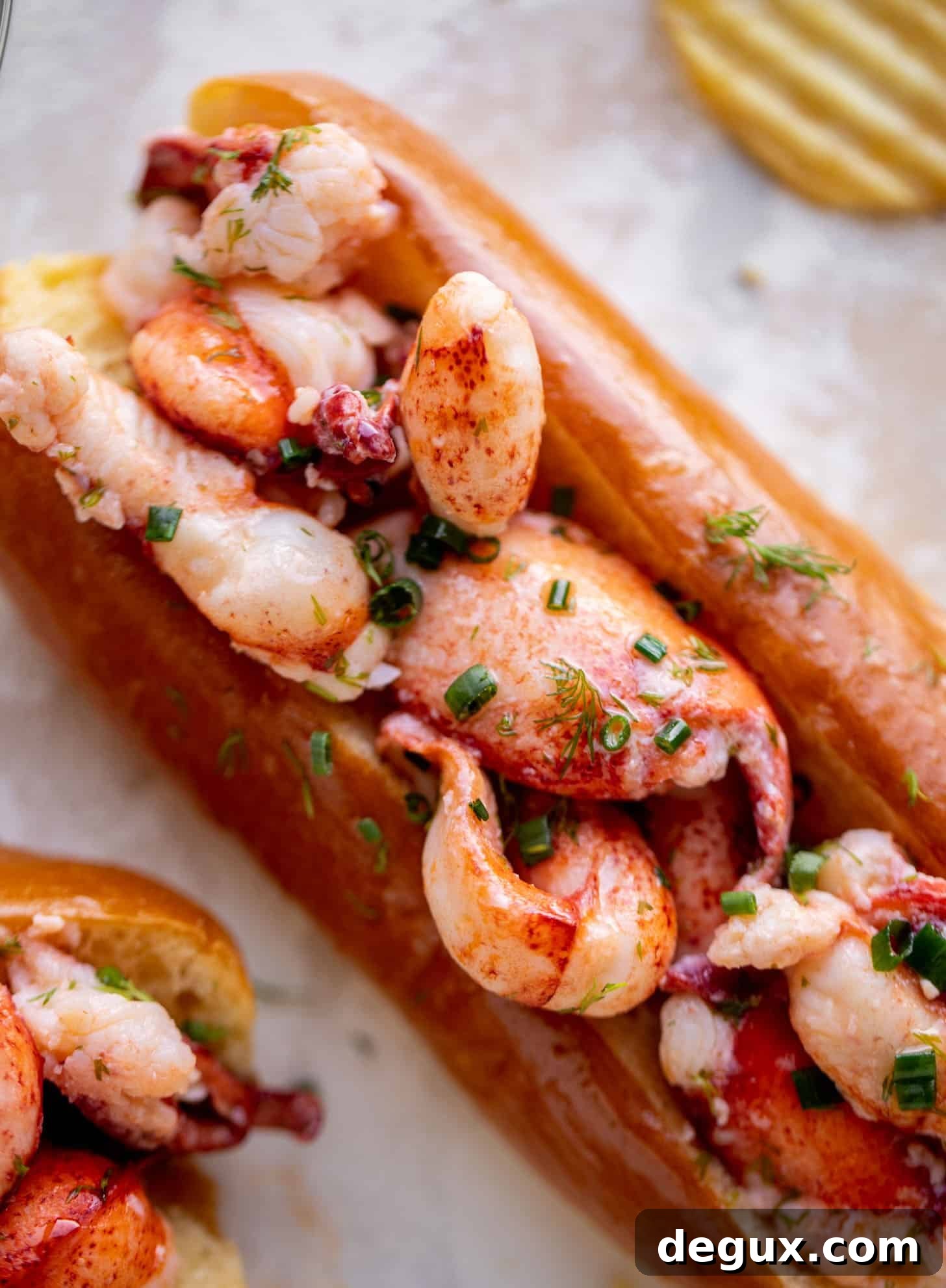 warm and buttery lobster rolls