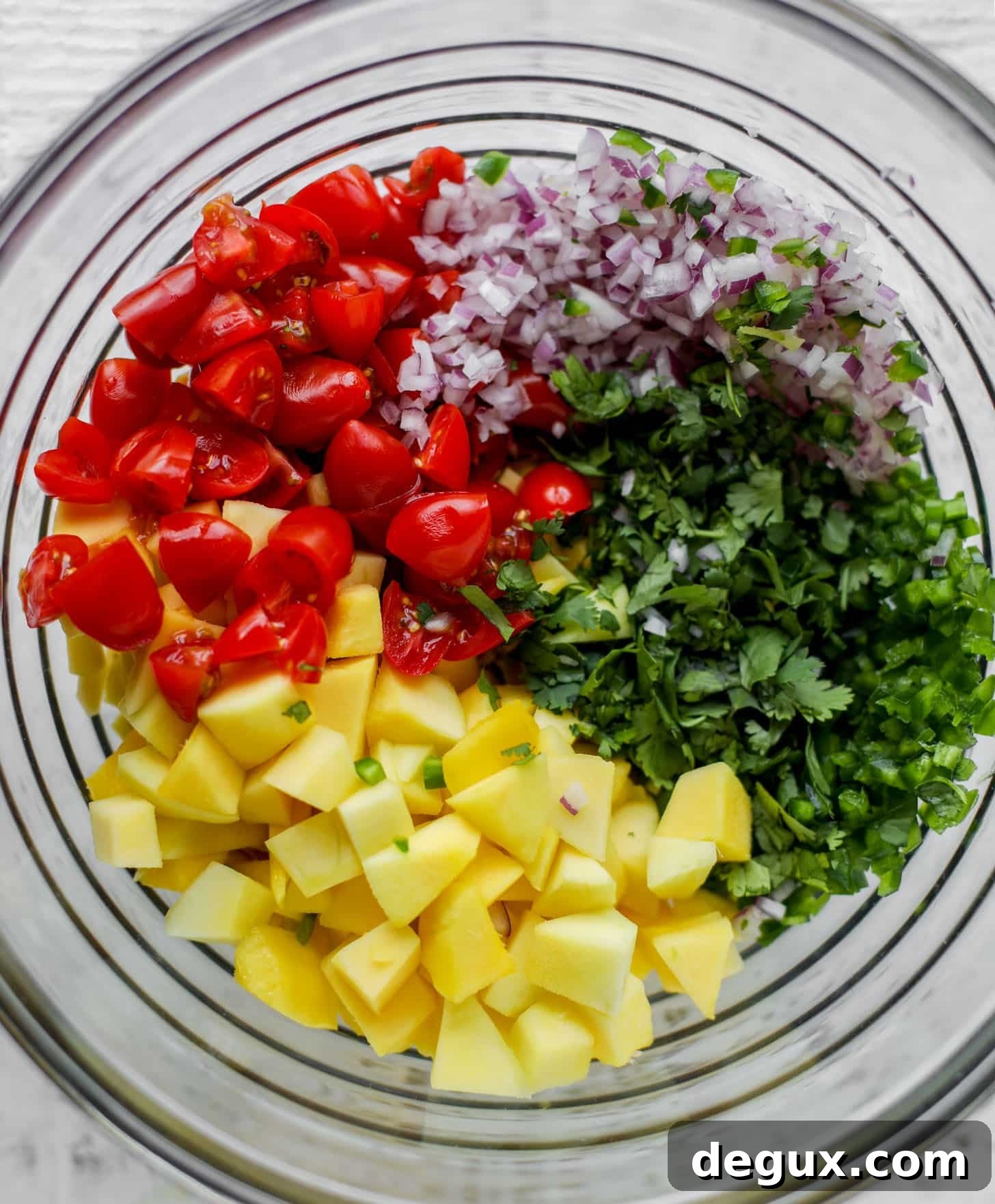 tomatoes, mango, onion, cilantro in a bowl