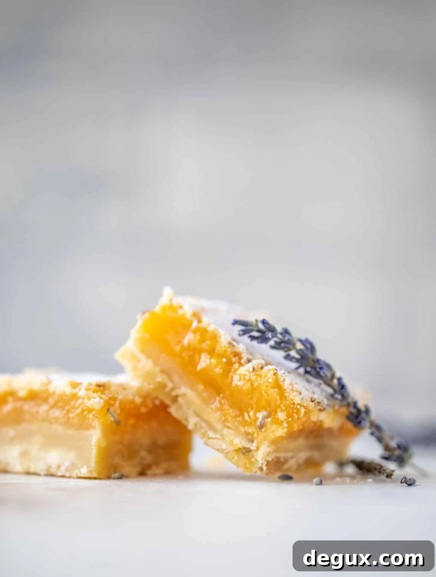 lavender lemon bars