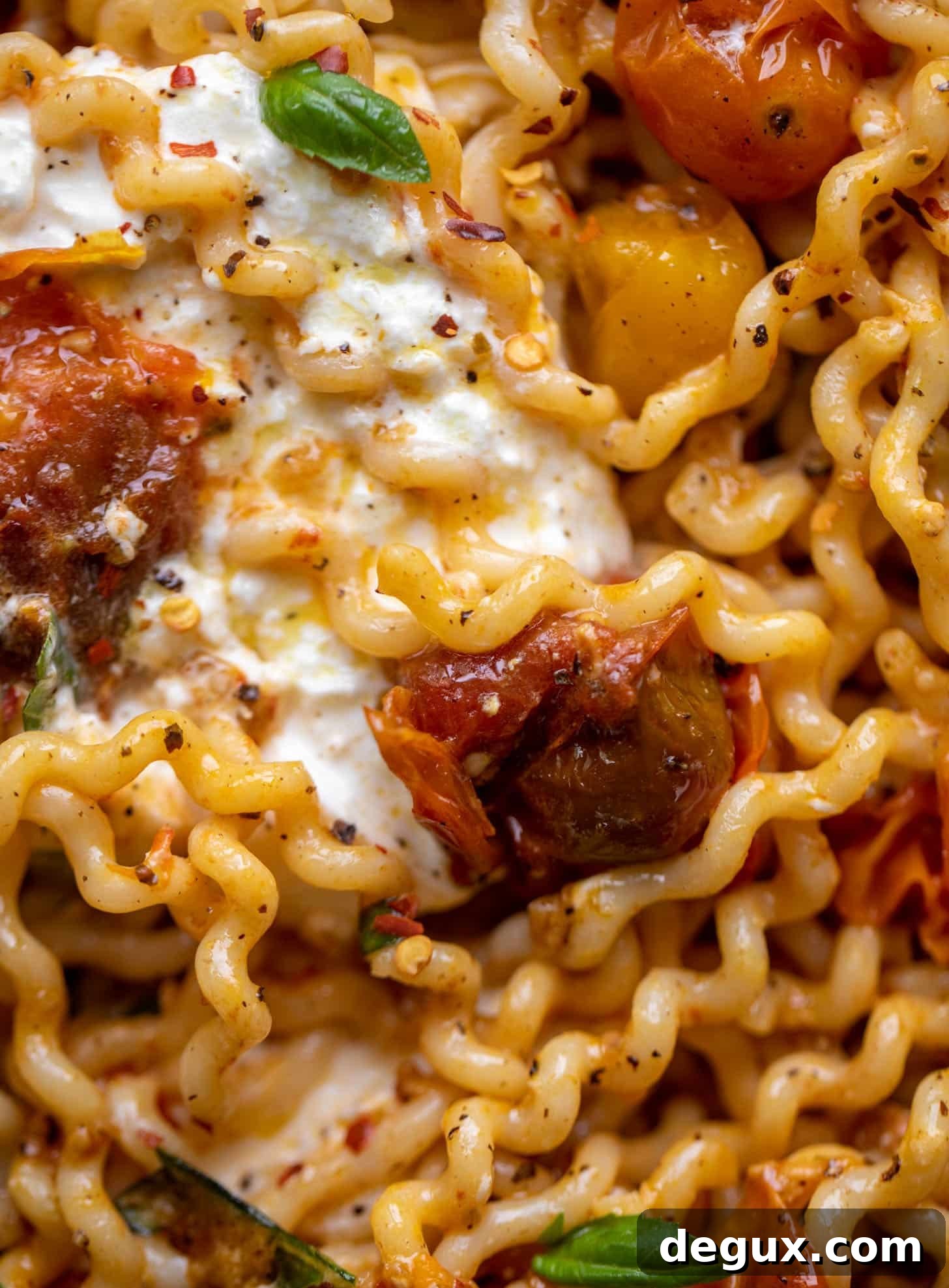 burst tomato burrata pasta