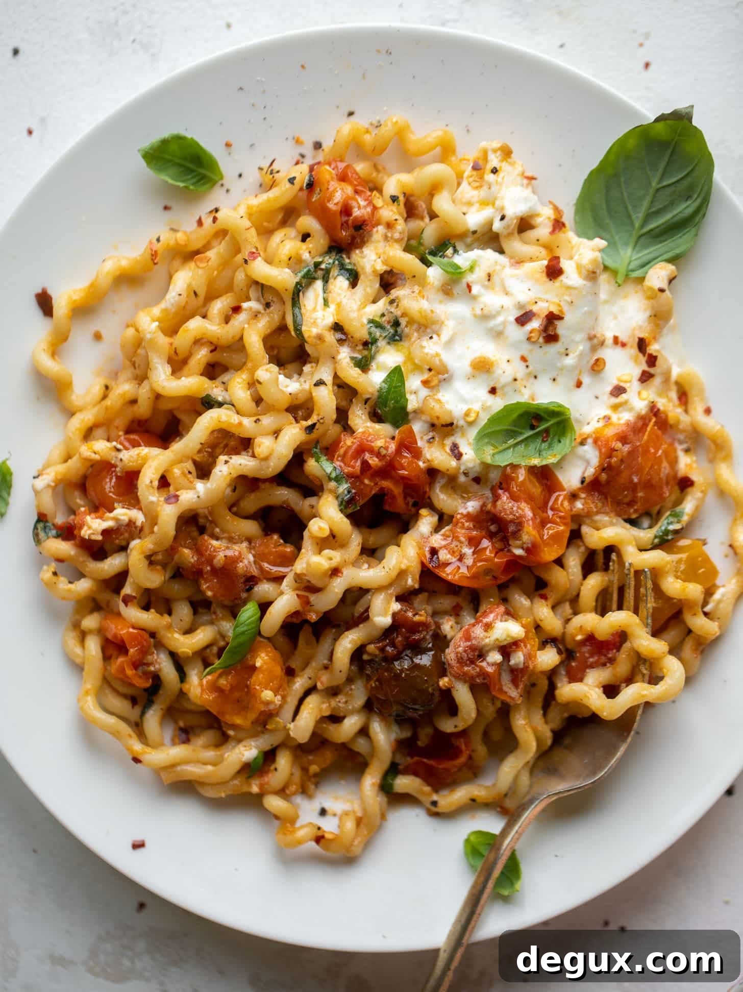 burst tomato burrata pasta