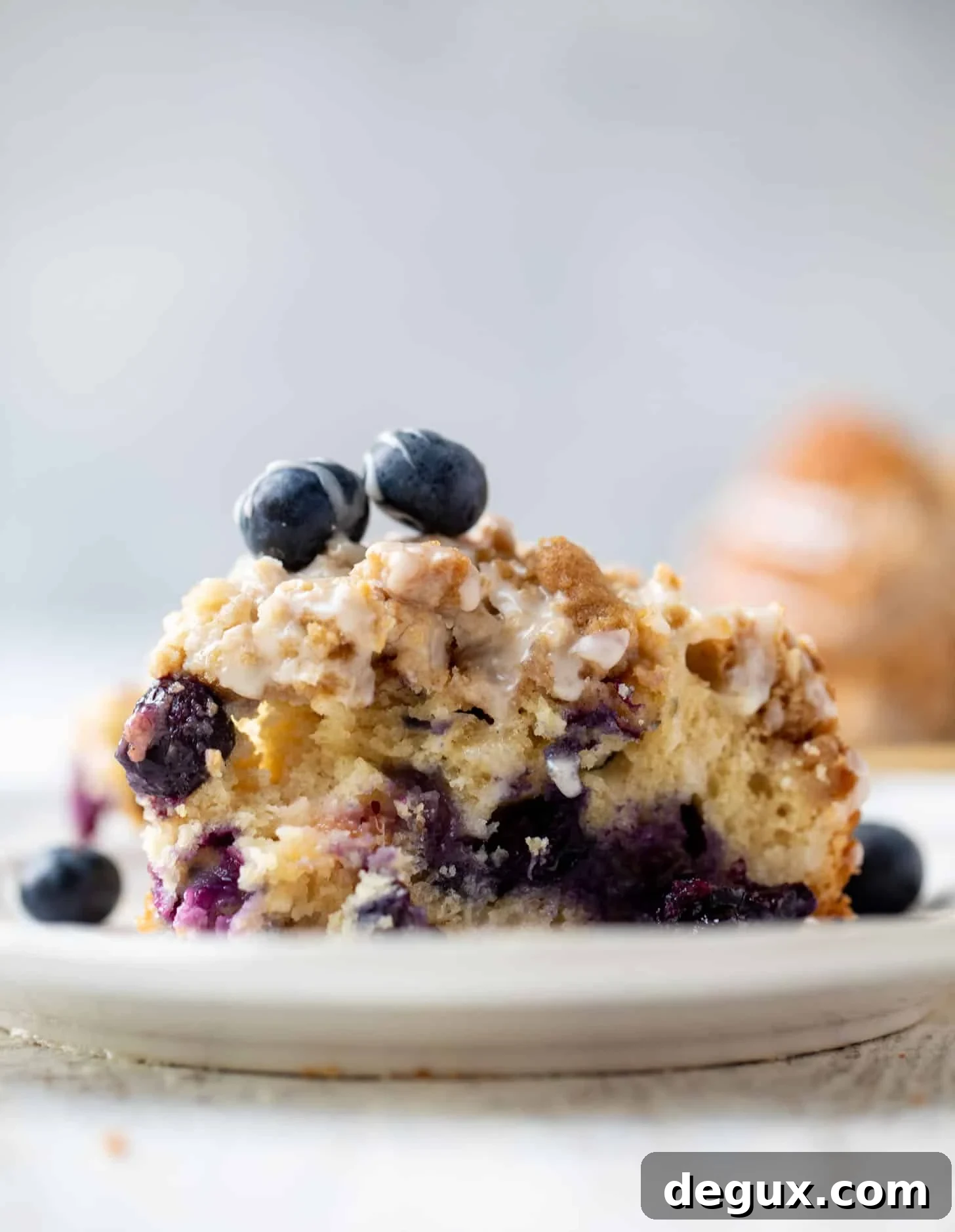 Blueberry Peach Coffee Cake Recipe for Summer Brunch 2 blueberry peach coffee cake