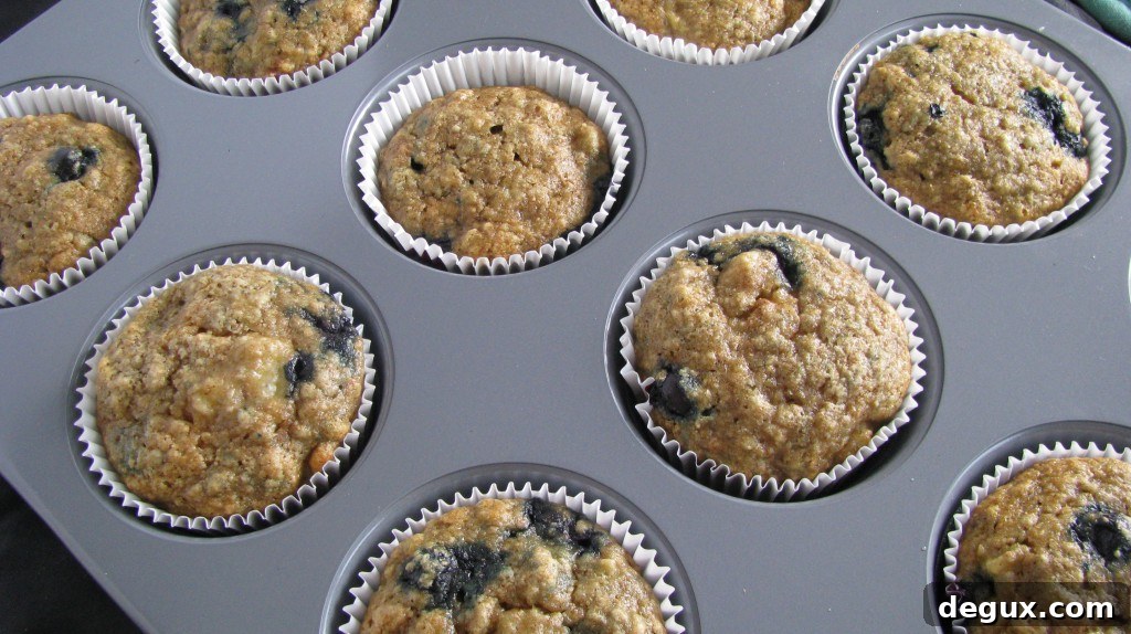 Blueberry banana muffins Blueberry banana muffins