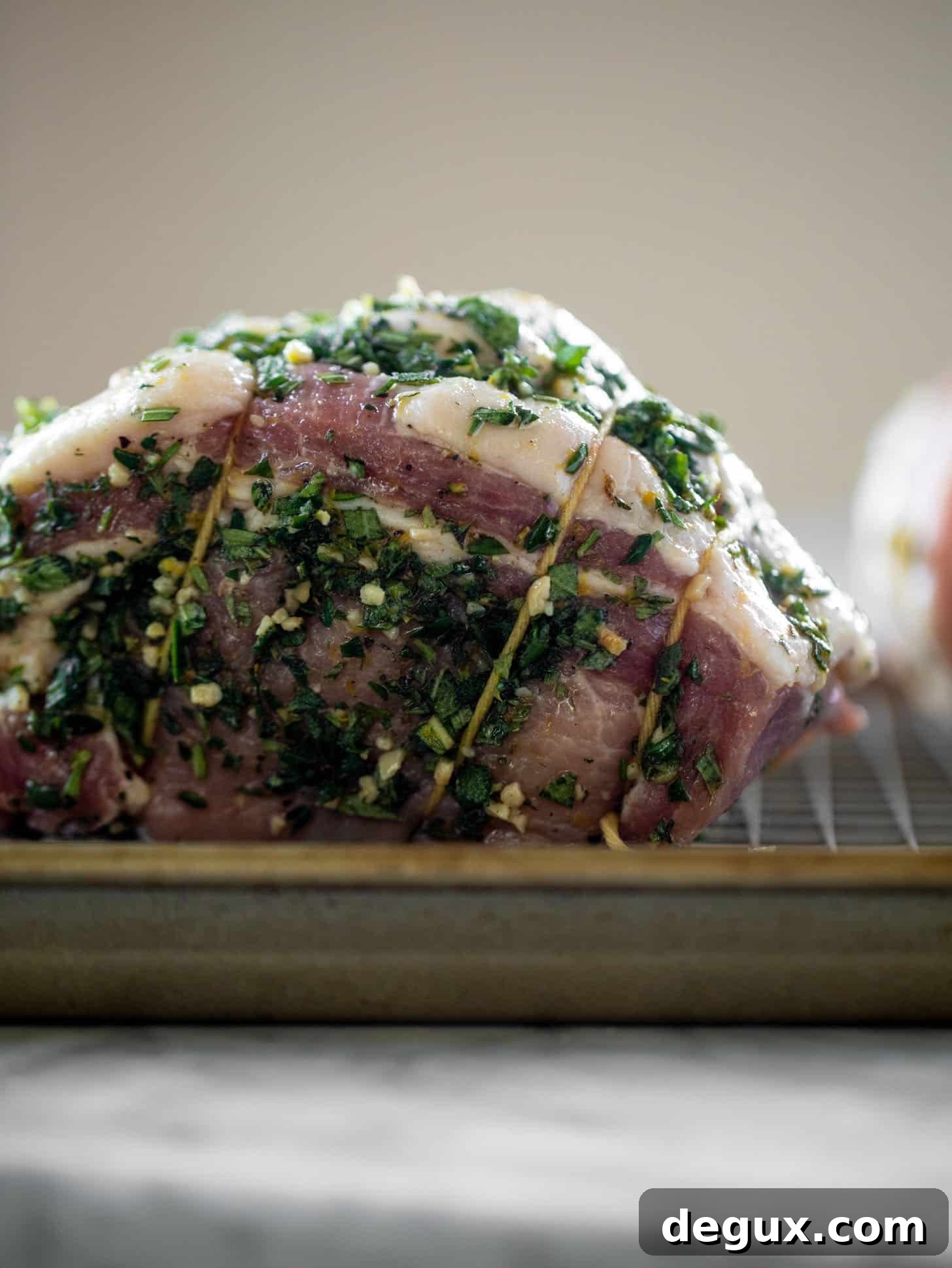Porchetta Sandwich with Garlic-Herb Mayo Recipe 5 stuffed porchetta roast