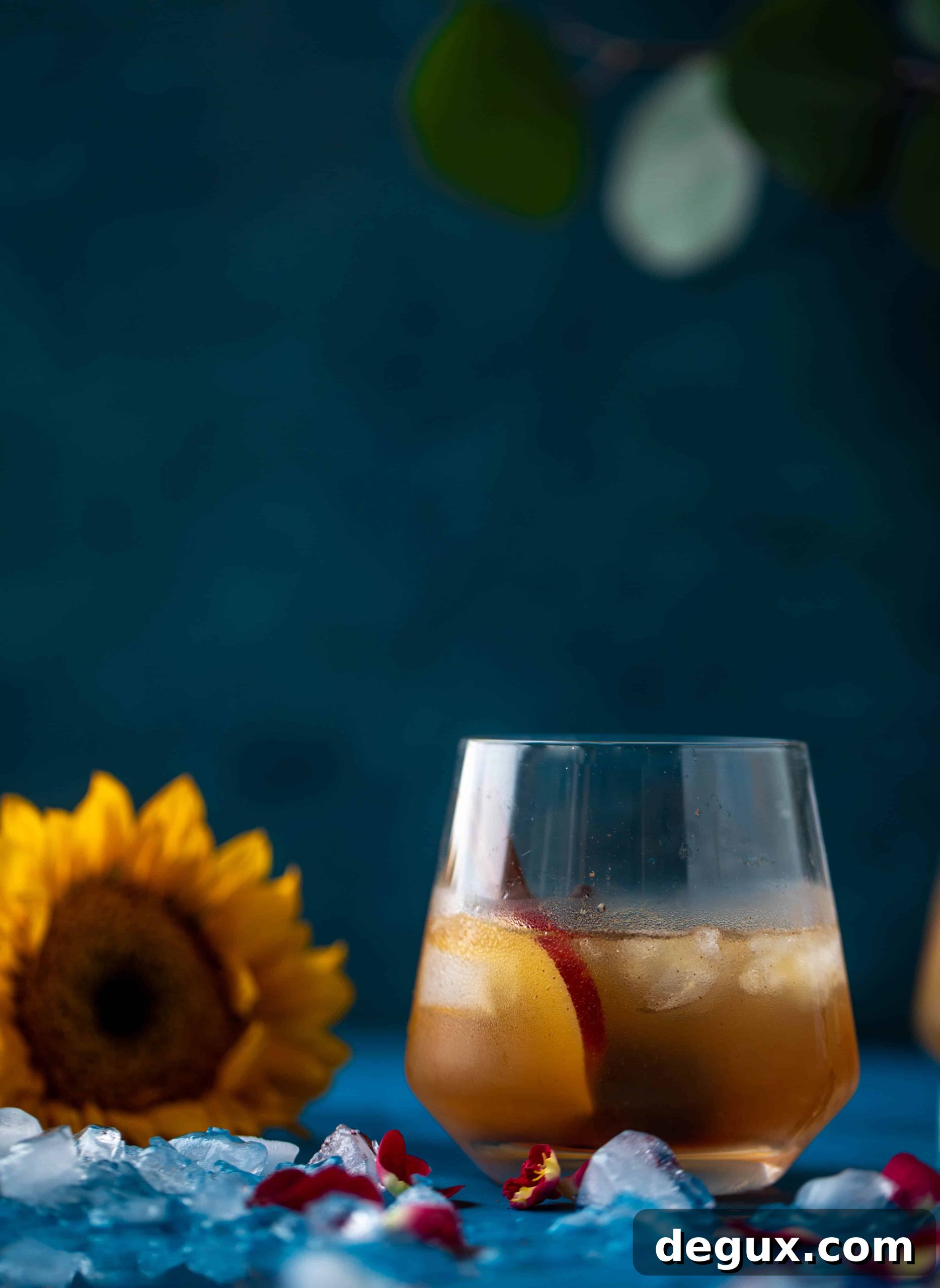 33 Fall Drinks: Cocktails, Mocktails & Cozy Coffee Recipes 18 img 75519 17 scaled