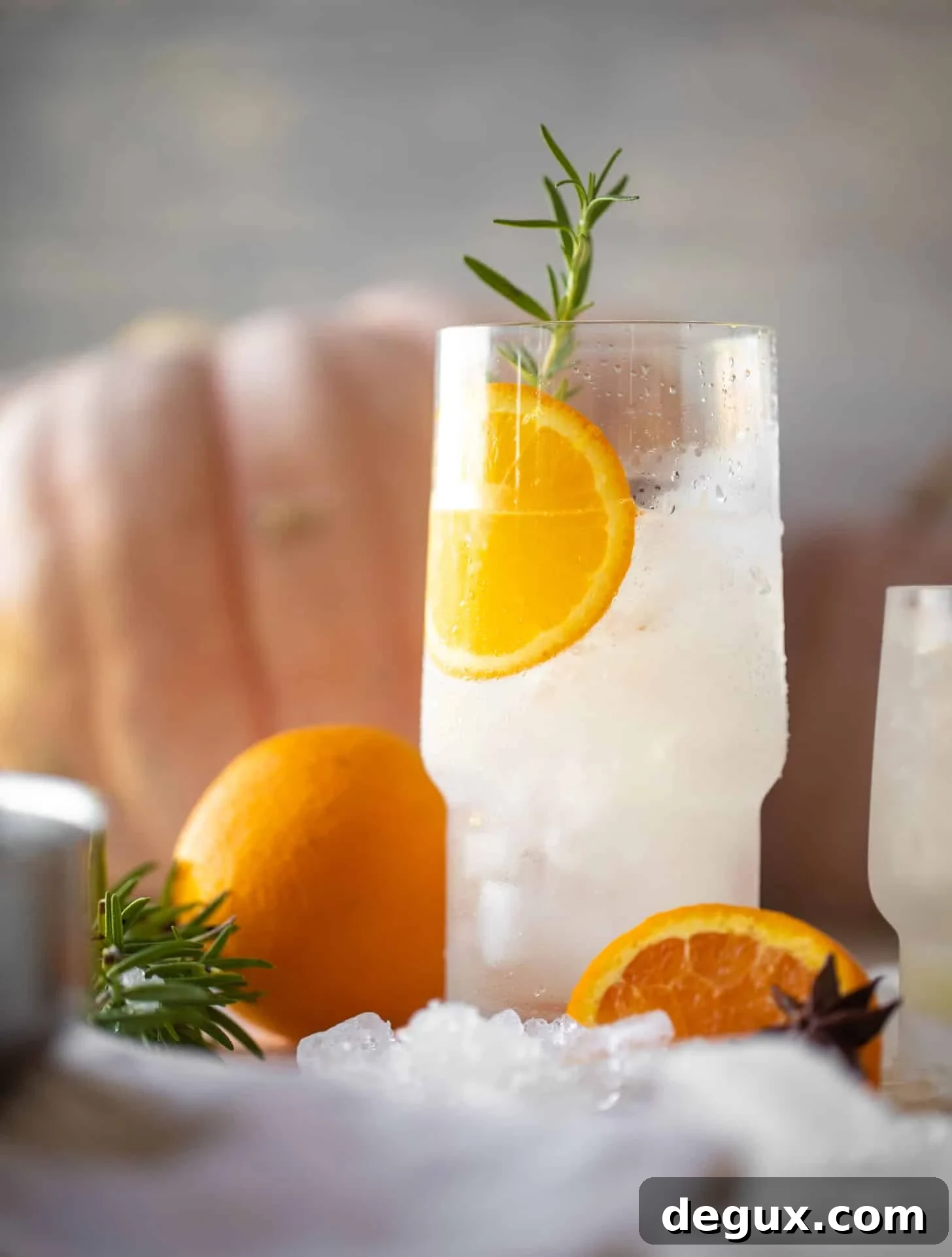 spiced orange gin and tonic