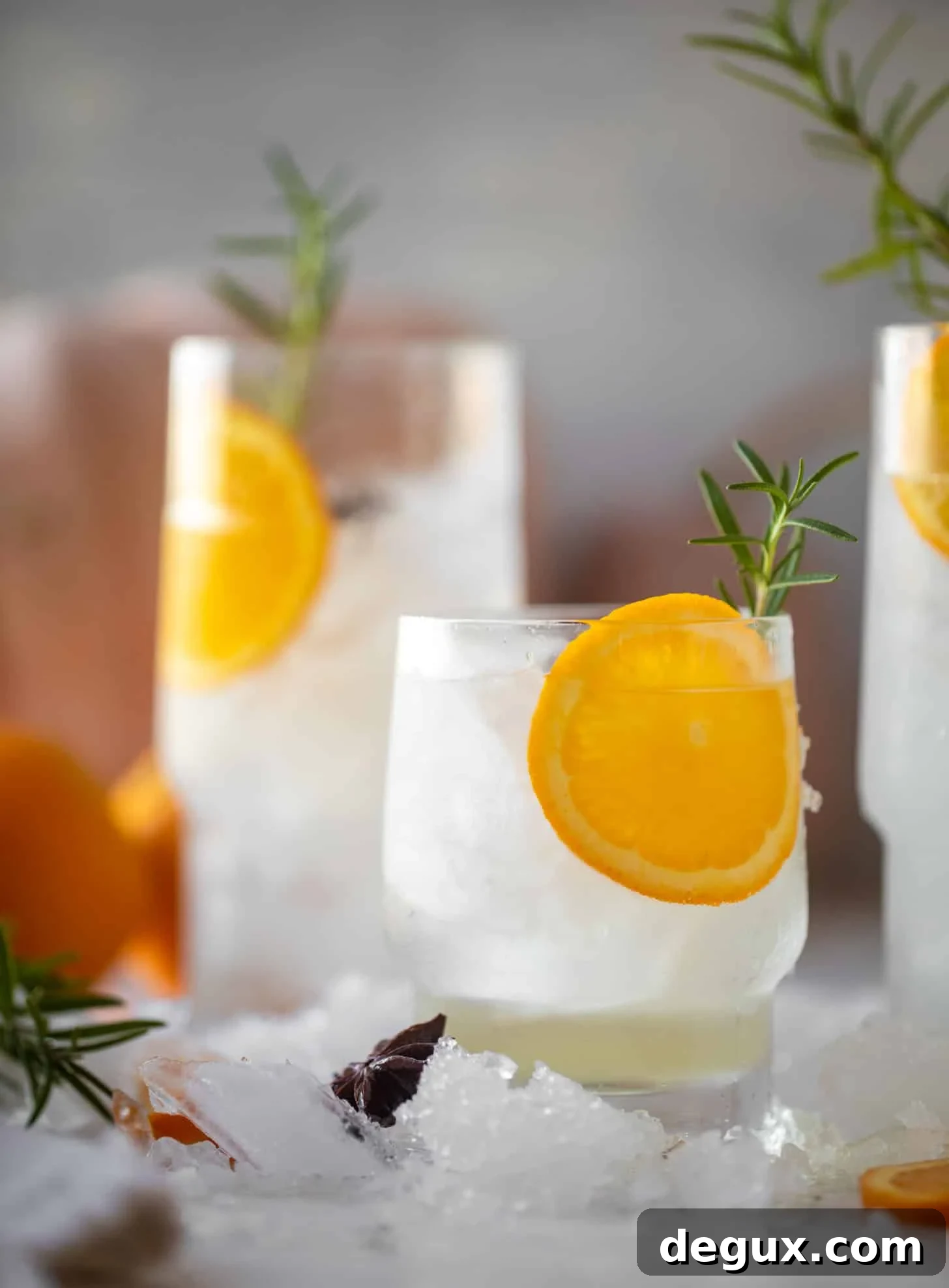 spiced orange gin and tonic