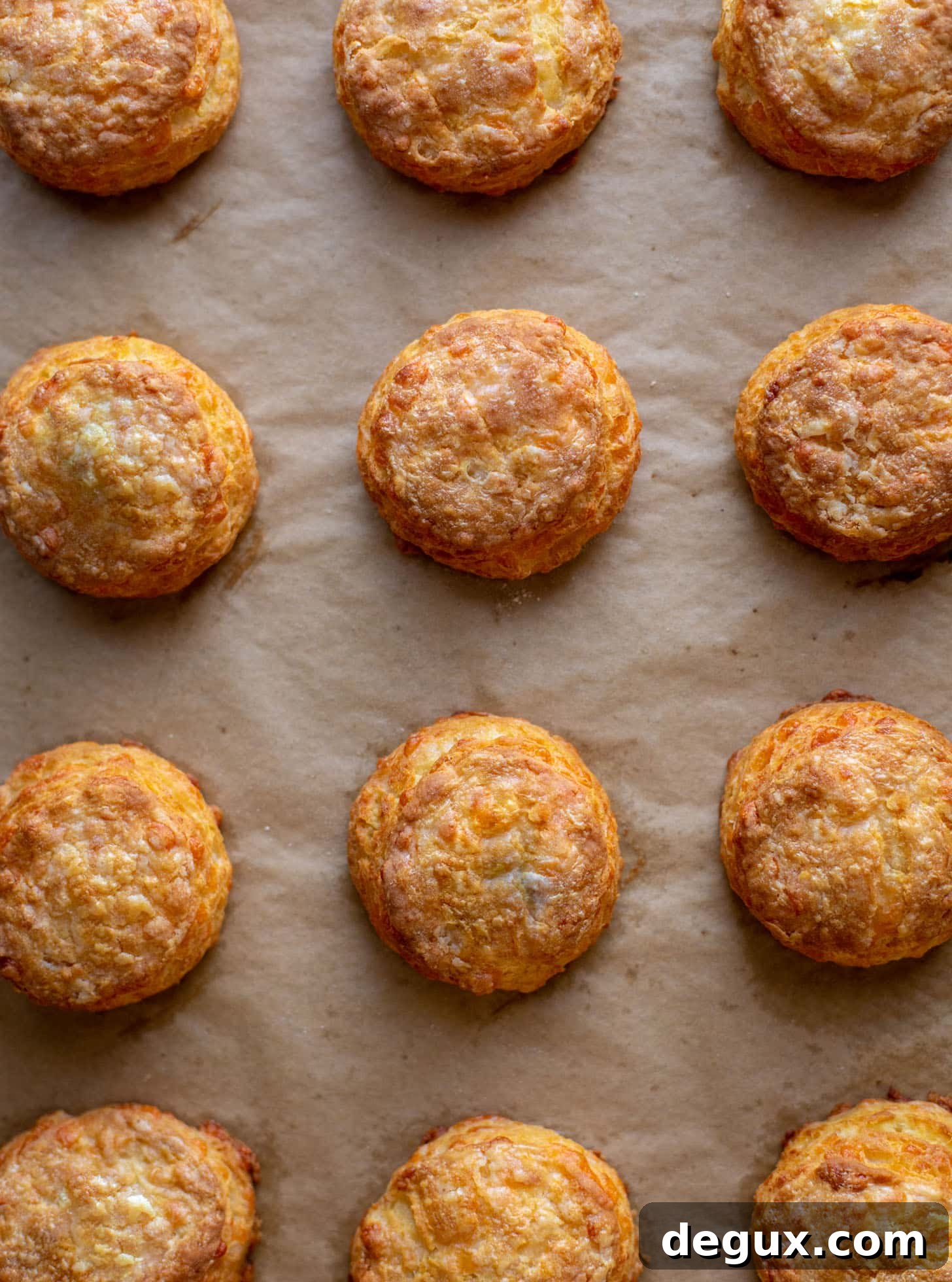 smoked cheddar sour cream biscuits