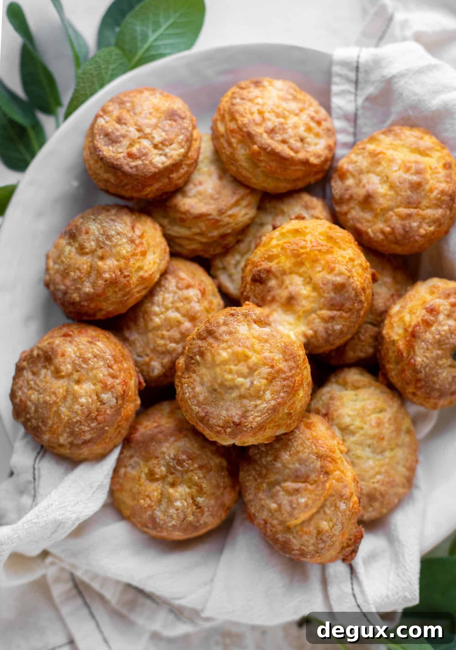 smoked cheddar sour cream biscuits