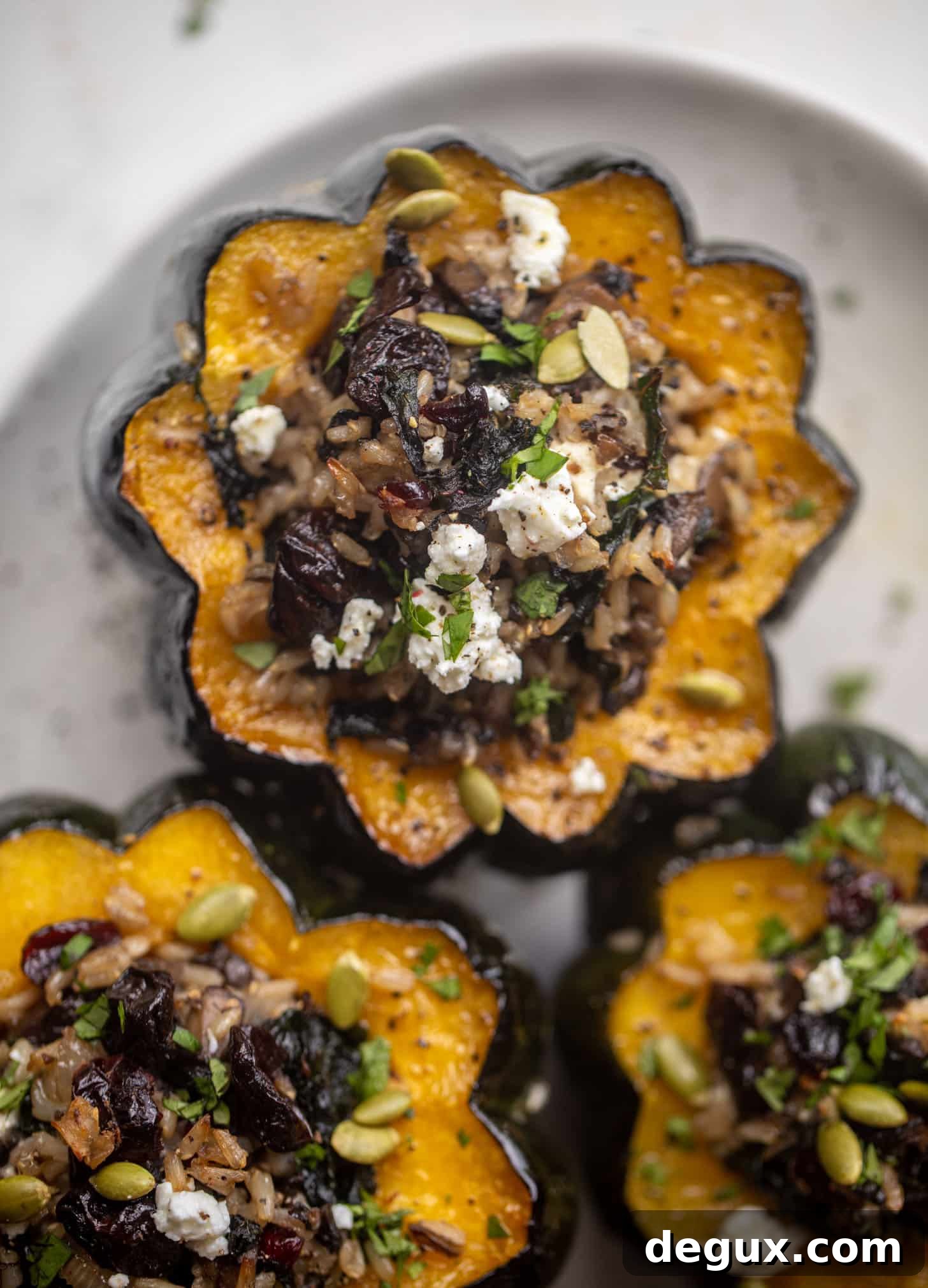 Cranberry and Goat Cheese Stuffed Acorn Squash Recipe 6 stuffed acorn squash
