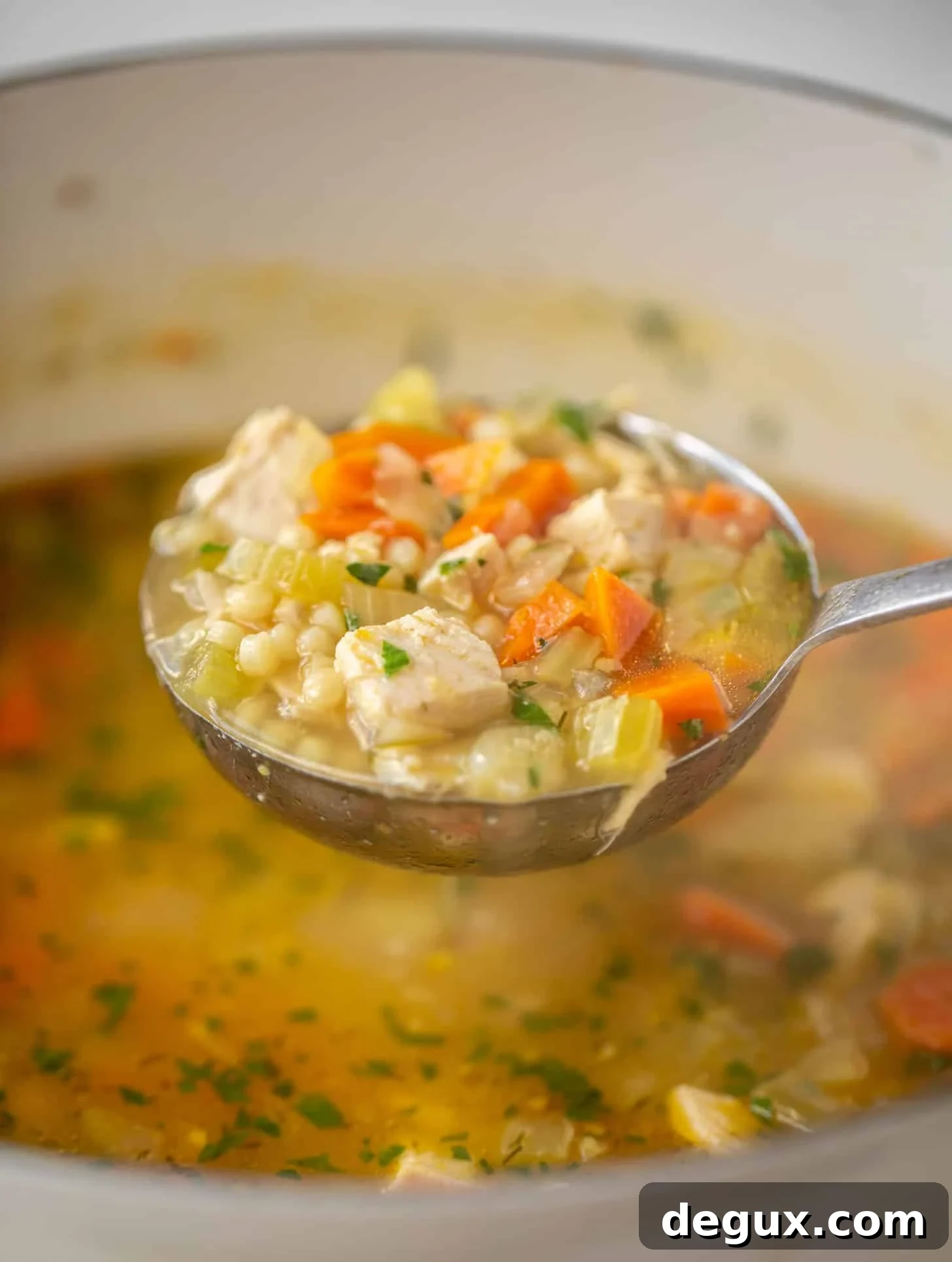 ladle of chicken soup