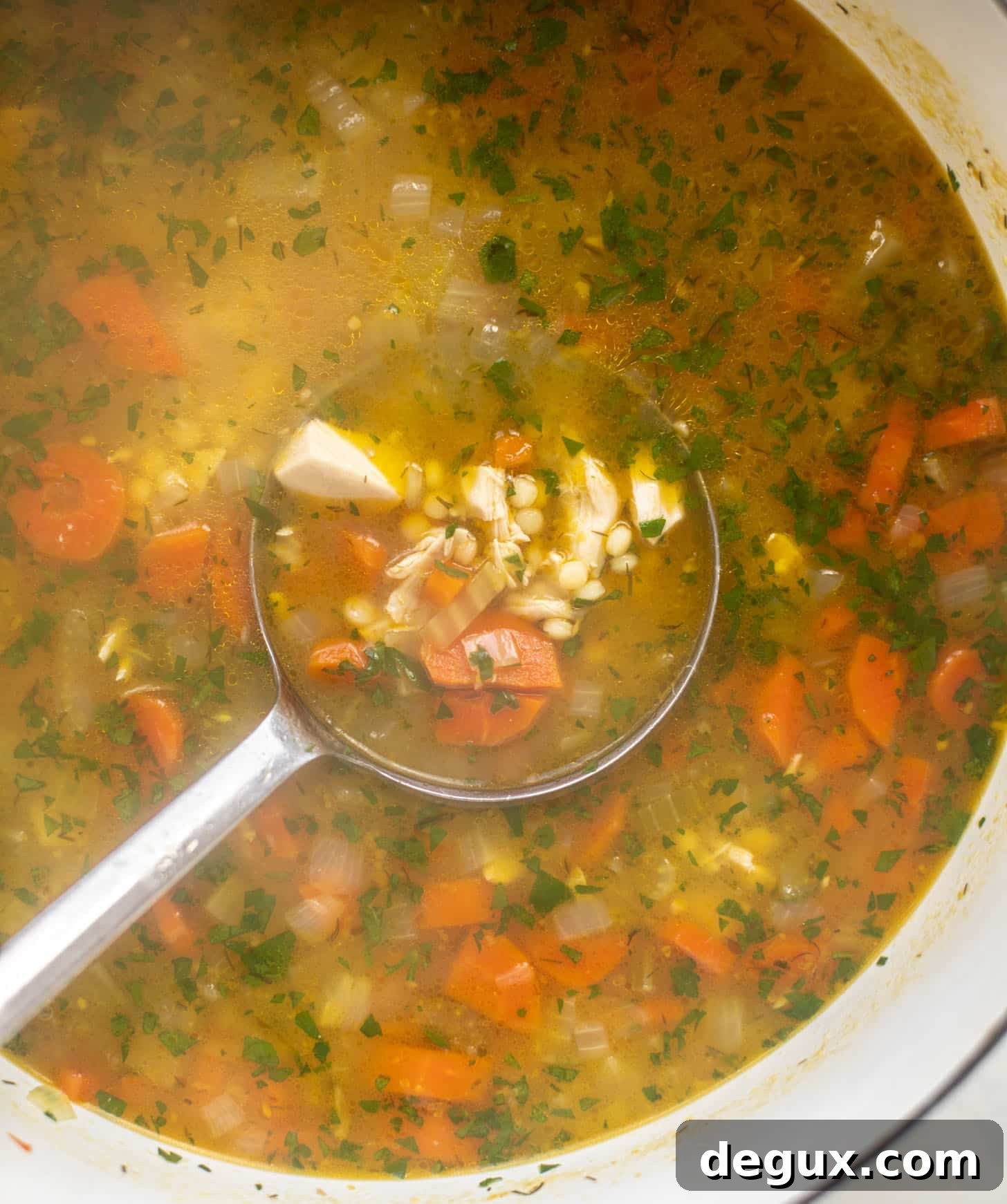 ladle of chicken noodle soup