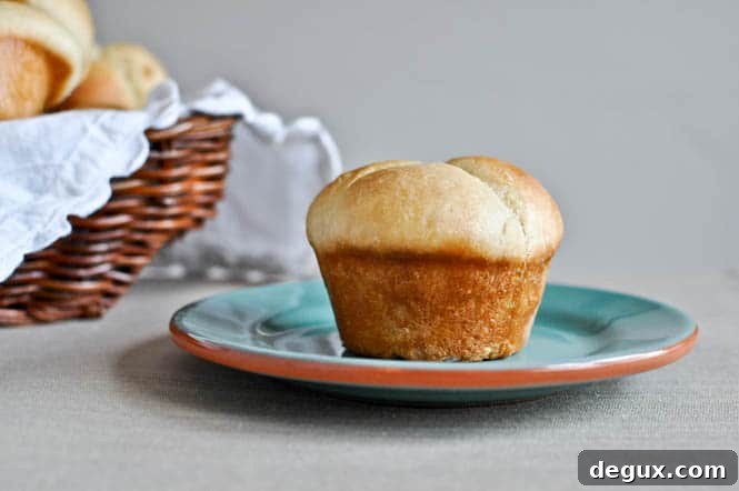 Top Thanksgiving Recipes to Impress Your Guests 60 img 76682 59