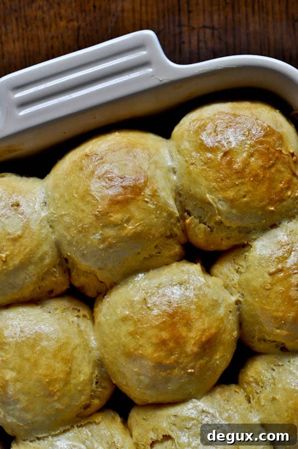 Top Thanksgiving Recipes for an Unforgettable Holiday Feast 61 img 76682 60 1