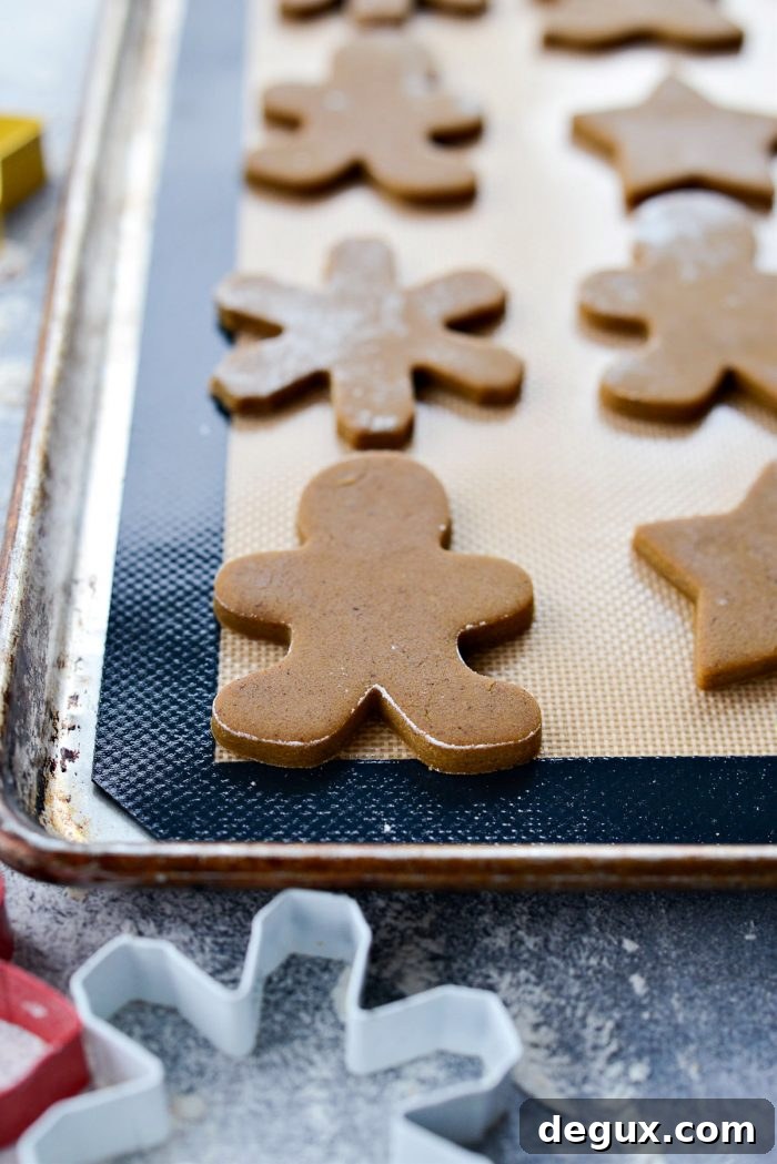 Ultra-Soft Gingerbread Cookies Recipe for Tender, Chewy Treats 15 img 76896 17