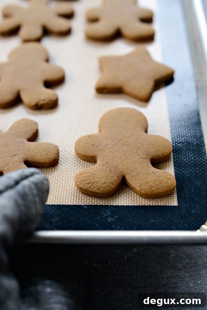 Ultra-Soft Gingerbread Cookies Recipe for Tender, Chewy Treats 16 img 76896 18