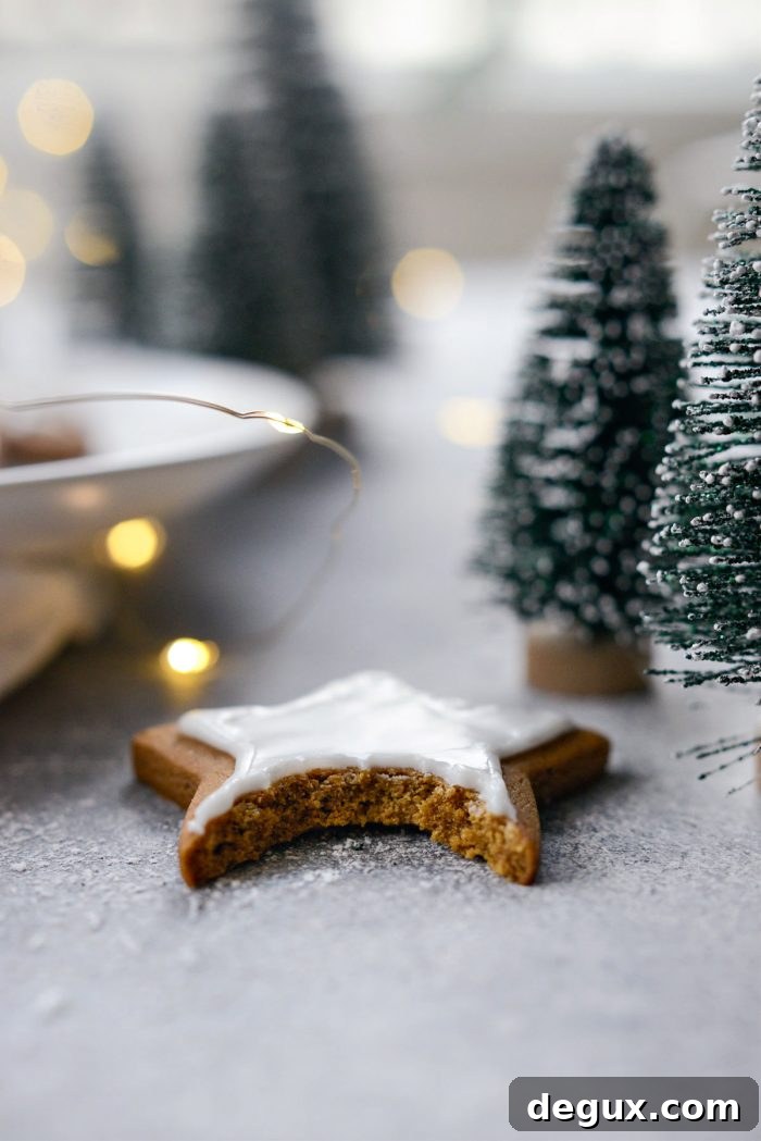 Ultra-Soft Gingerbread Cookies Recipe for Tender, Chewy Treats 21 img 76896 26