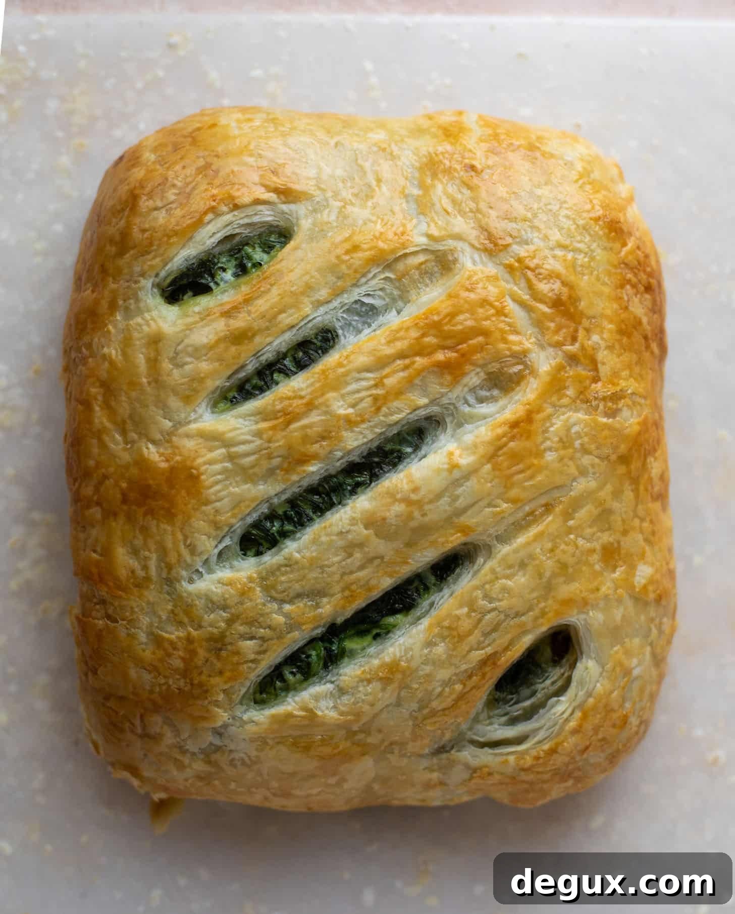 Puff Pastry Salmon en Croûte: Flaky Oven-Baked Salmon Recipe 6 salmon en croute recipe