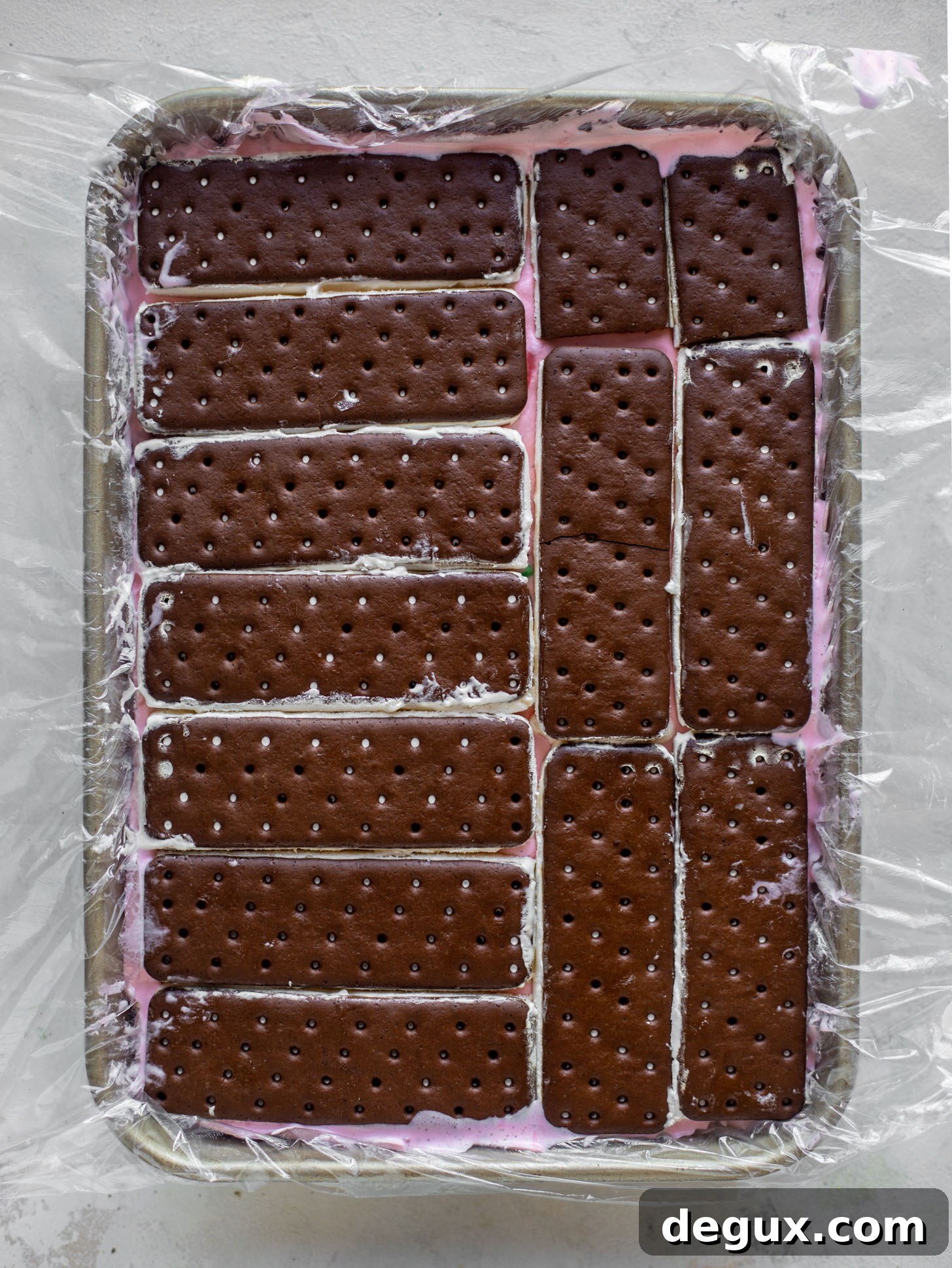 ice cream sandwiches