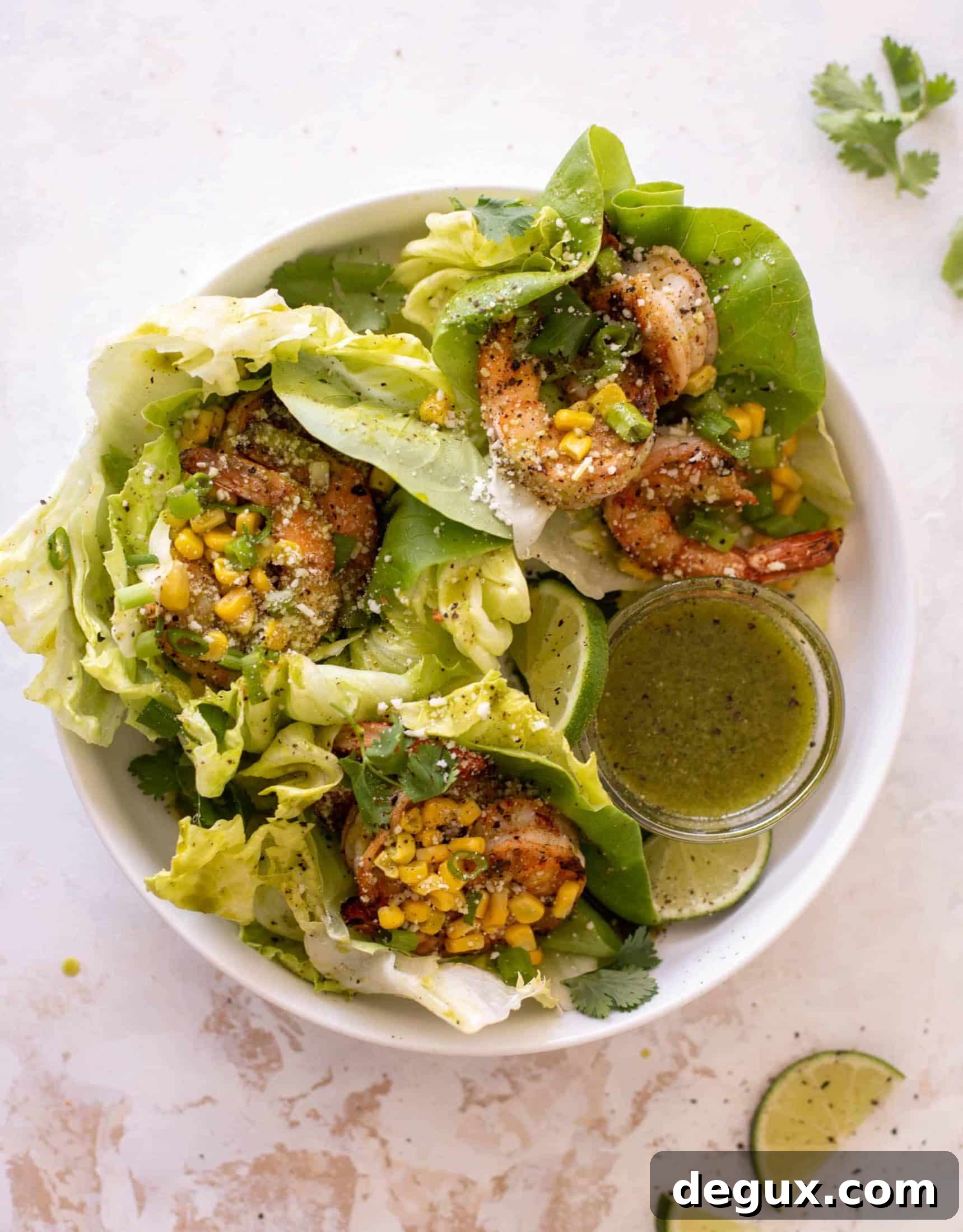 350 Lighter Dinner Recipes: 49 Weeks of Menu Ideas for 2026 16 img 77587 15