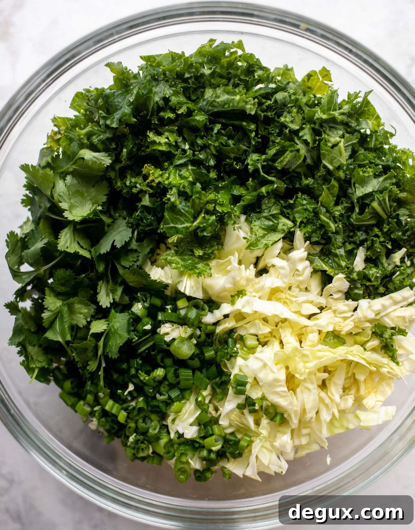 kale, cabbage, herbs, green onions