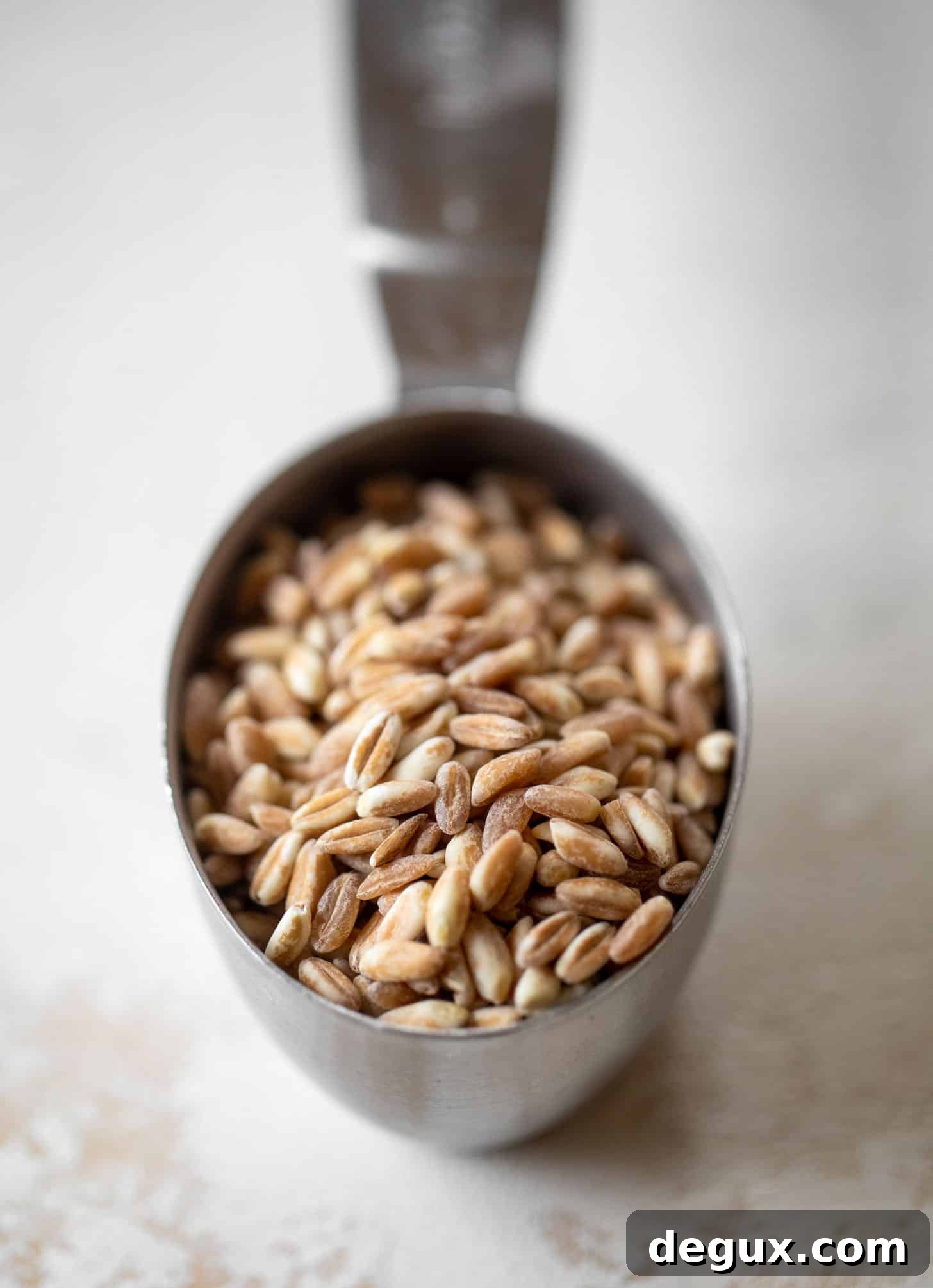 dry farro
