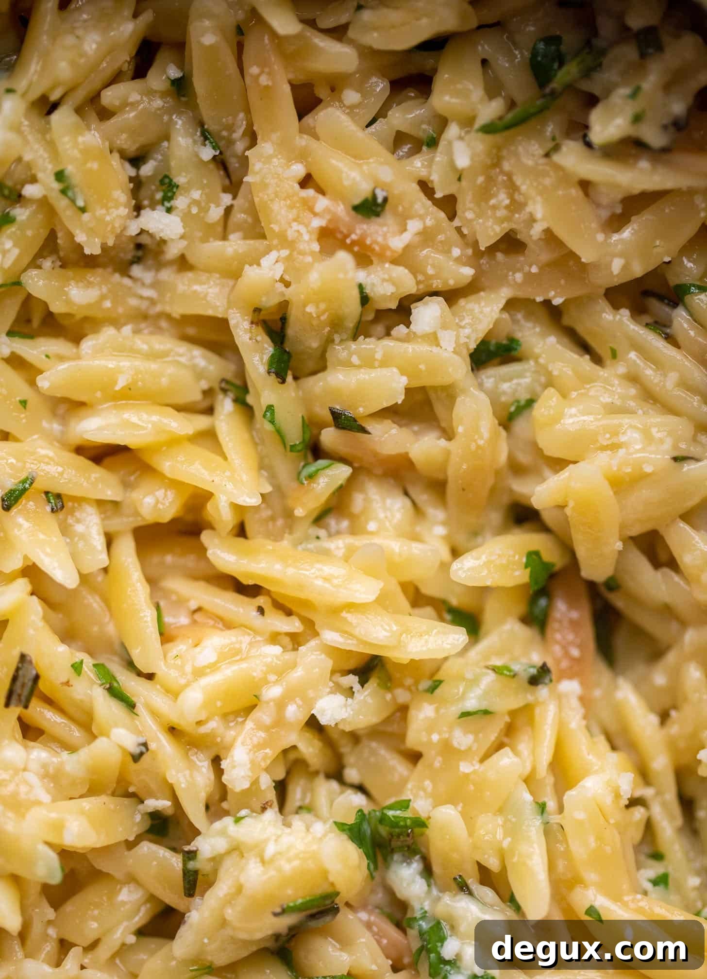 Parmesan Herb Orzo Recipe — Creamy Italian-Style Side Dish 6 parmesan herb orzo close up