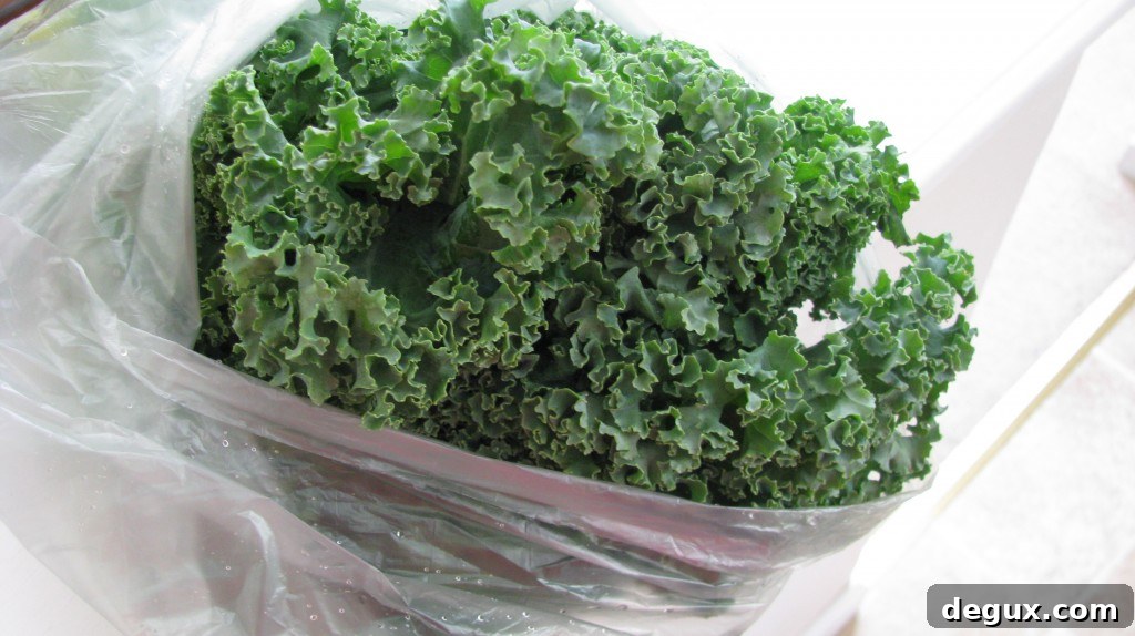 Kale Kale
