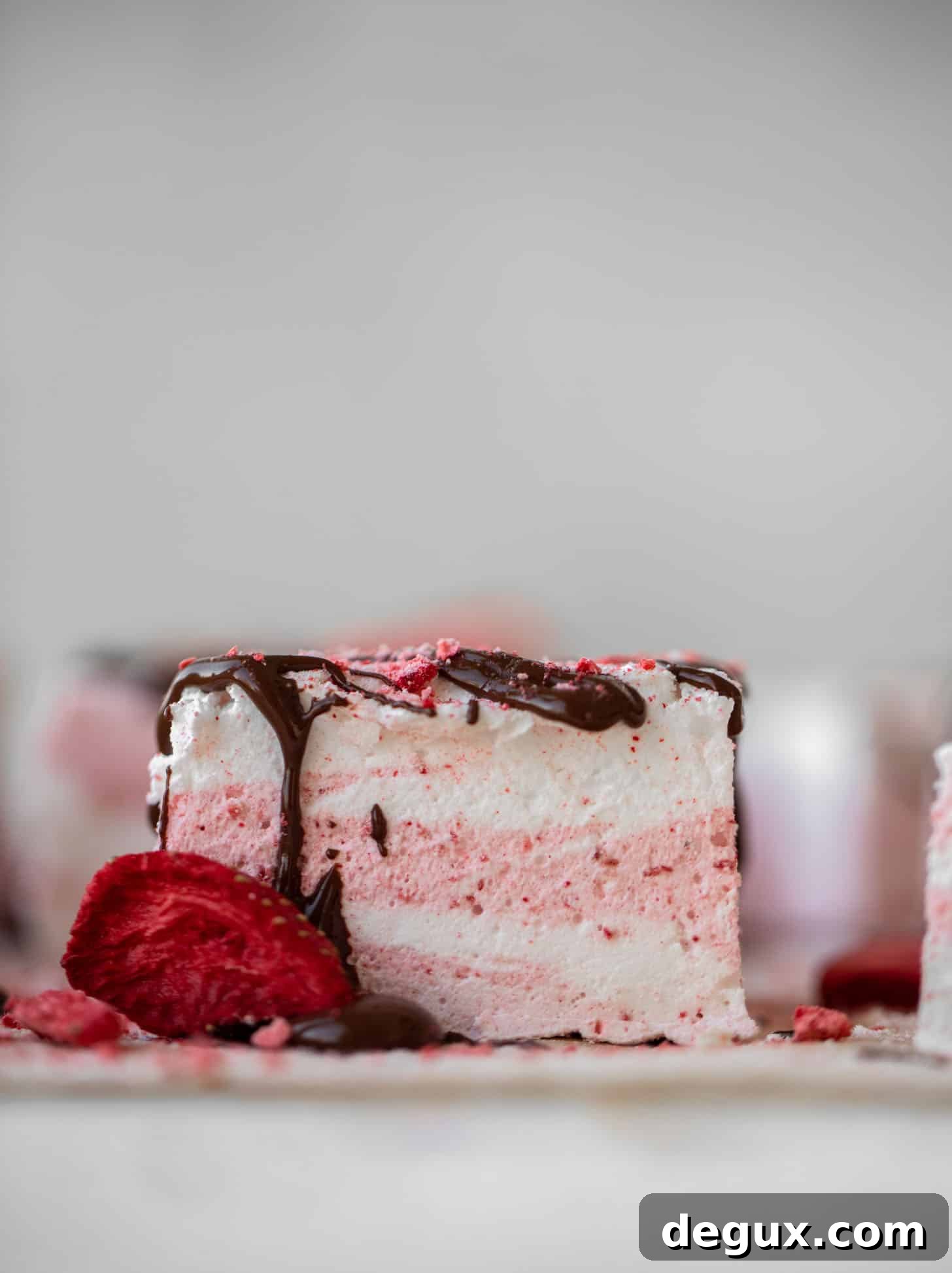 chocolate dipped strawberry swirl marshmallows