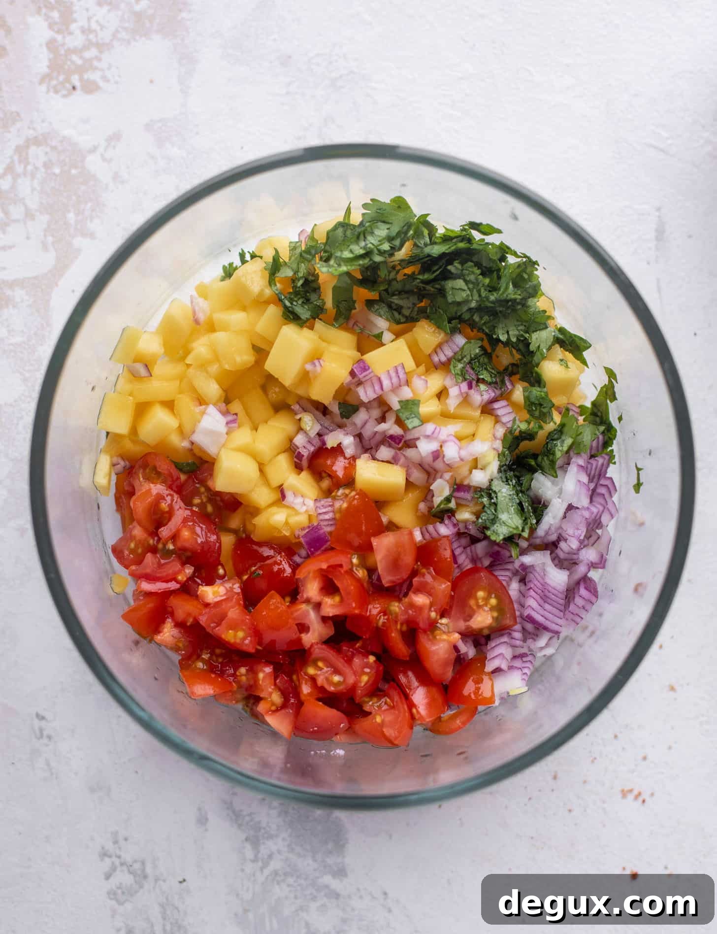 Chipotle Honey BBQ Chicken Nachos with Mango Pico de Gallo 4 mango pico de gallo