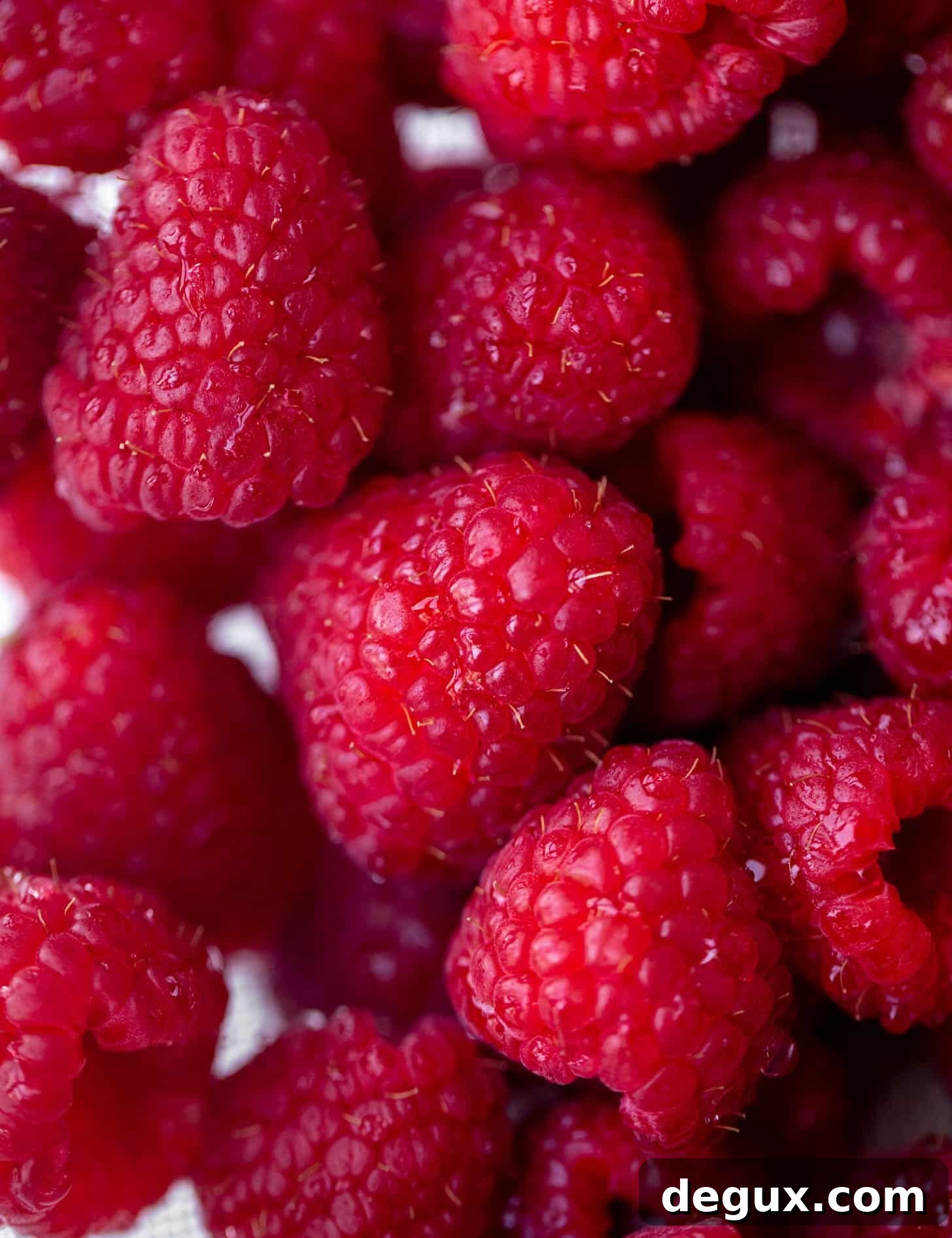 fresh raspberries