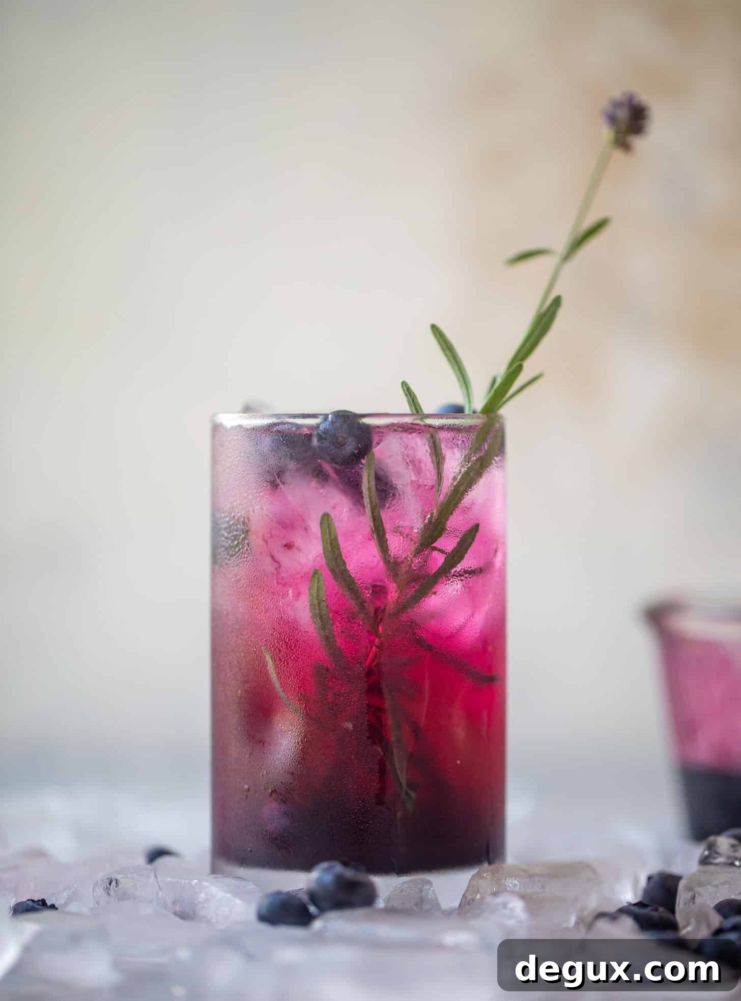 18 Refreshing Spring Drinks to Sip This Season 9 img 79251 8
